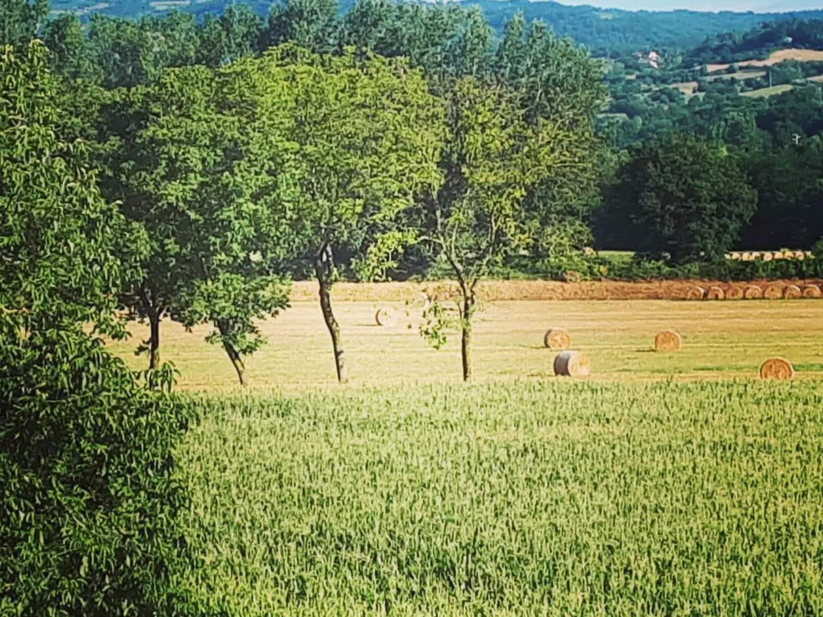 Landgut "La Tabaccaia" mit eigenem Garten und Grill-Image-tags.info