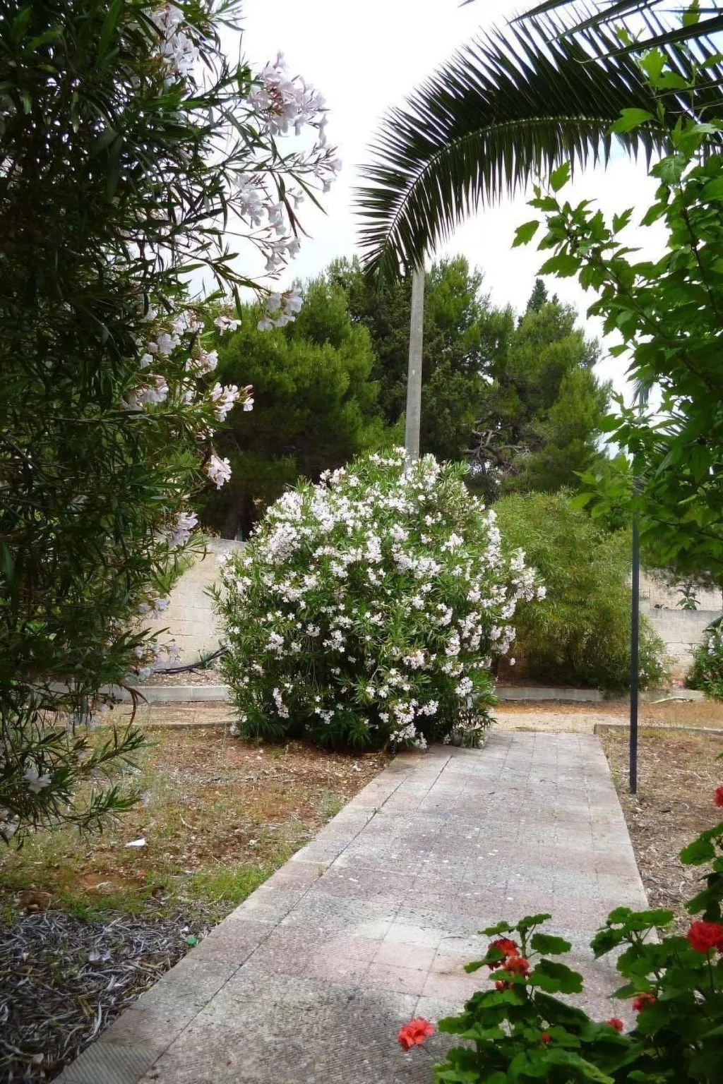 Wohnung in einer Residenz, nur wenige Meter vom Meer entfernt-Image-tags.info