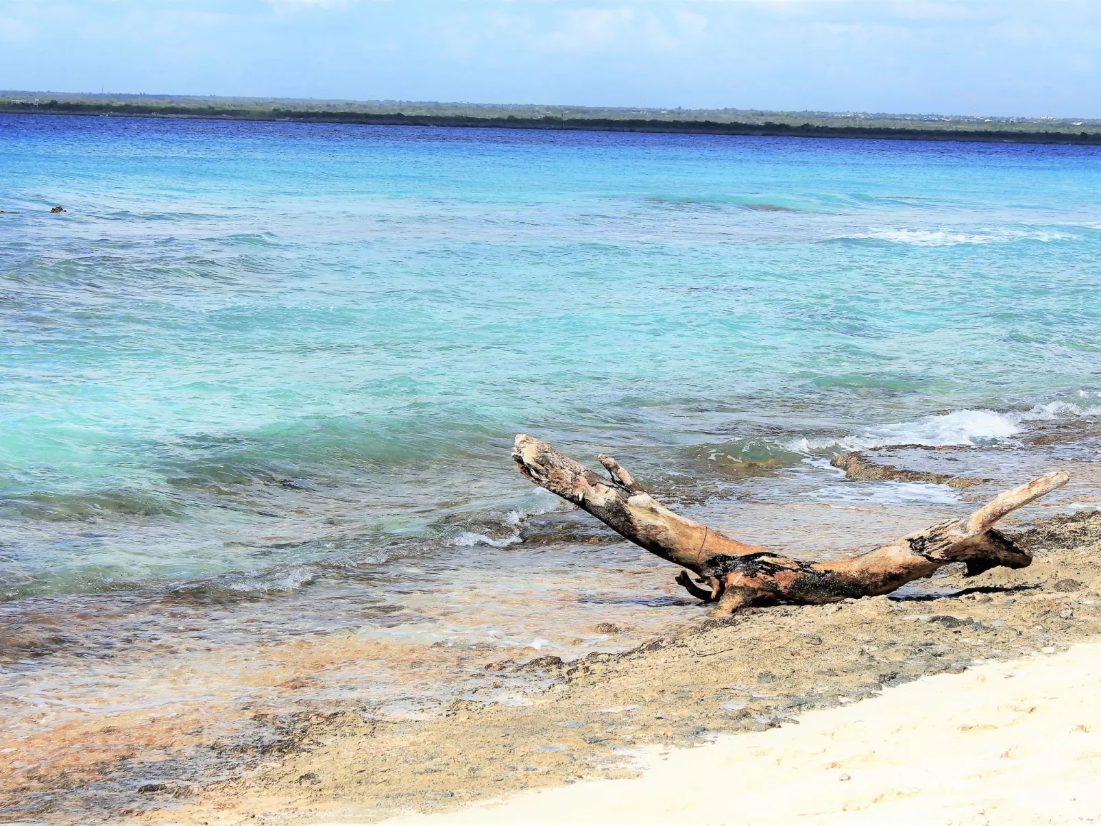 Villa del Mar-Image-tags.info