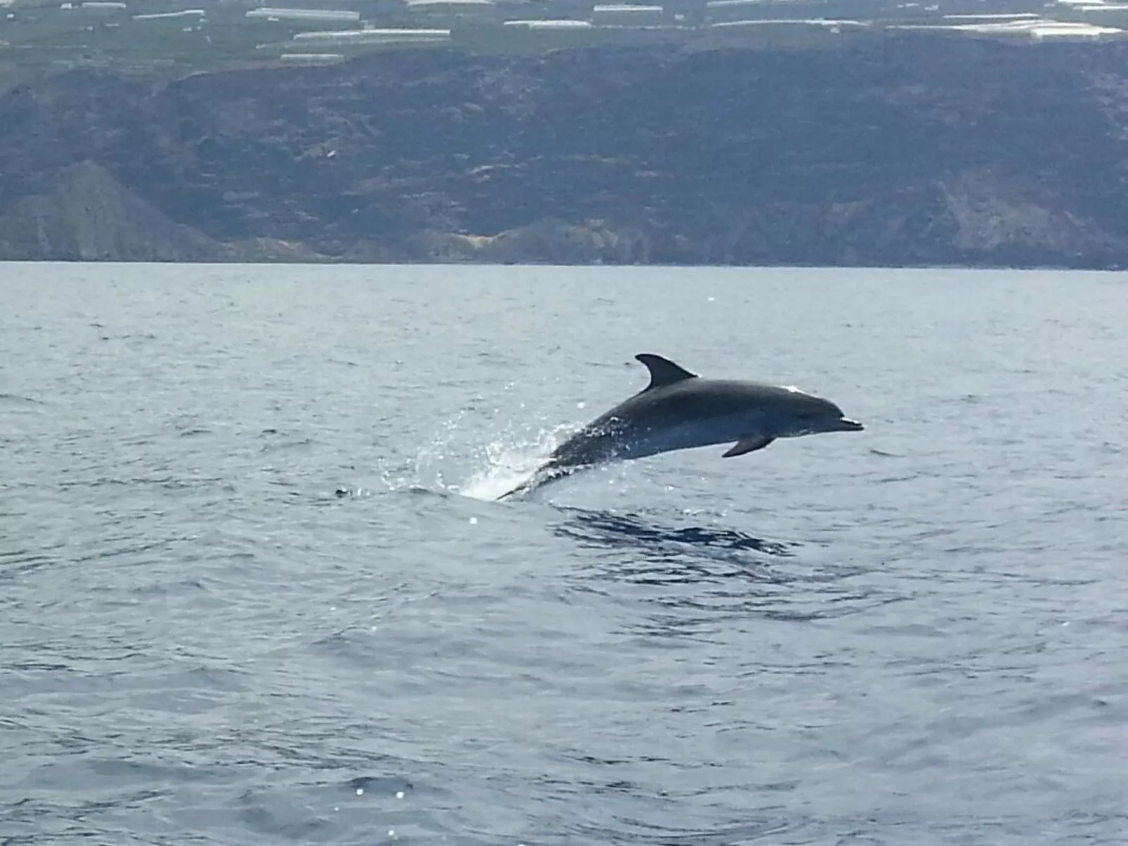 Ruhige Finca Topo del Drago mit Meerblick-Buiten