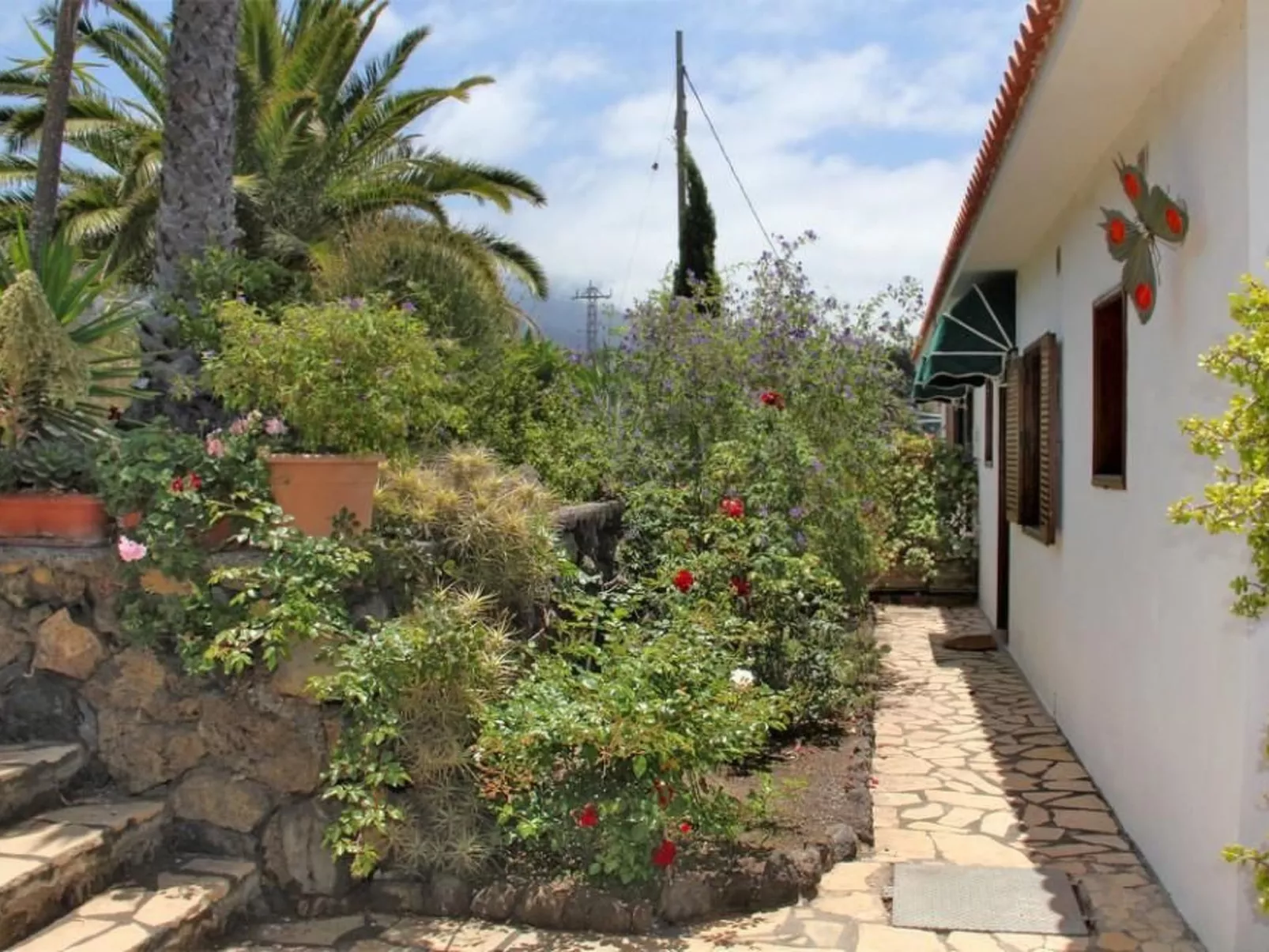 La Palma-Image-tags.info