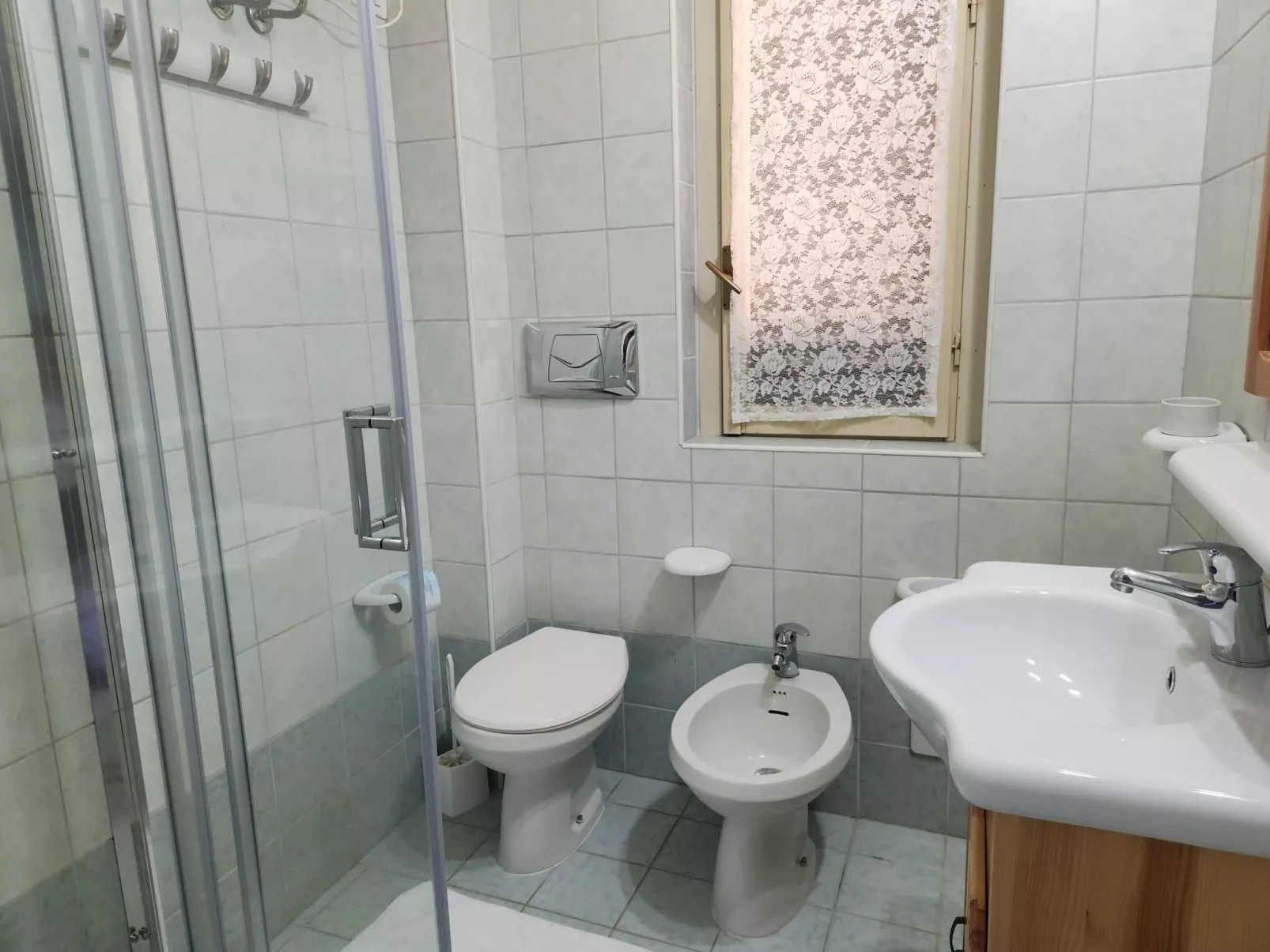 Bilo mimosa-Image-tags.info