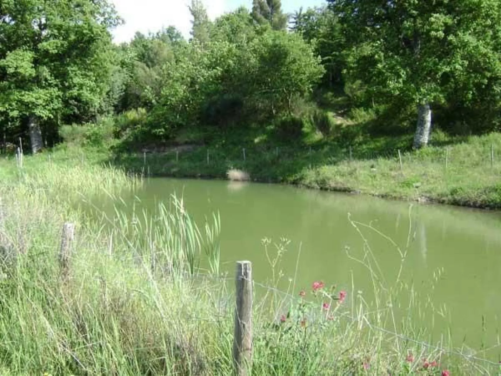 Casa Letizia mit toller Aussicht-Buiten