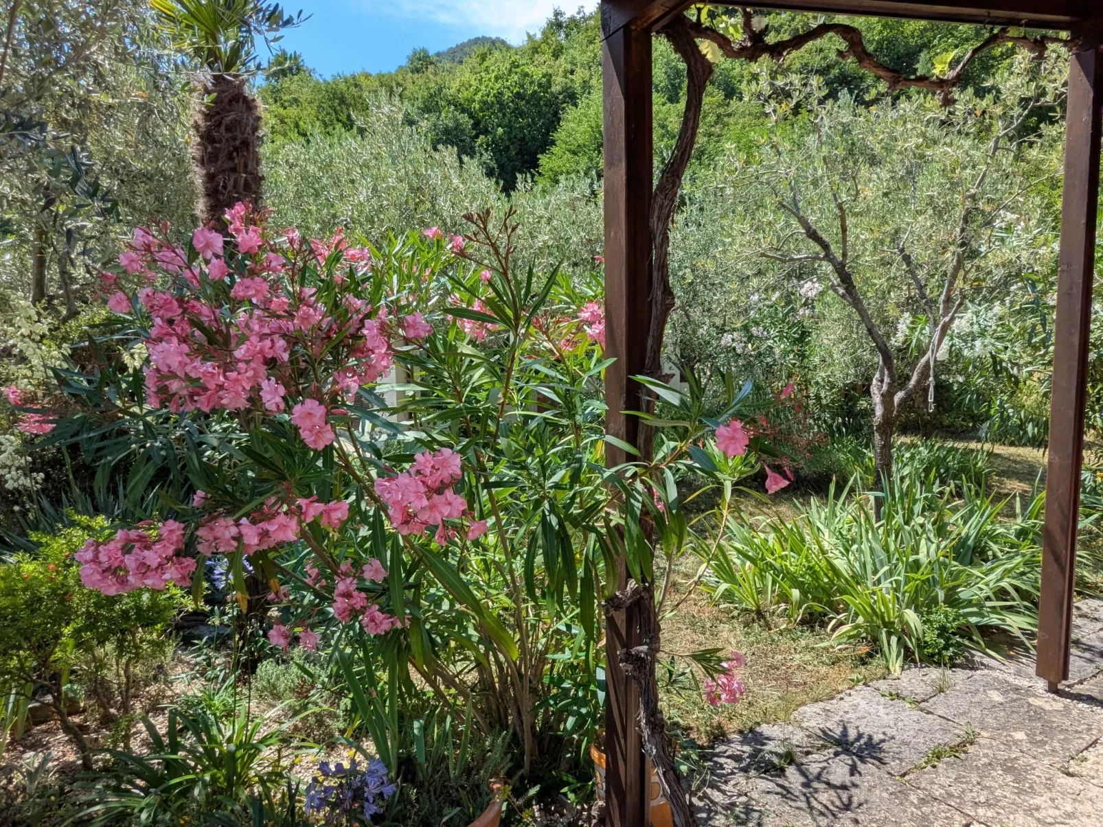 Oliveto Tignale-Buiten