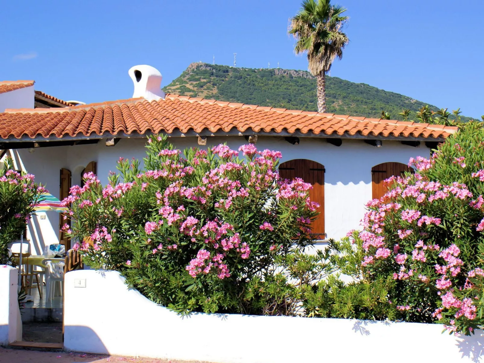 Sa Fiorida C plus II-Image-tags.info