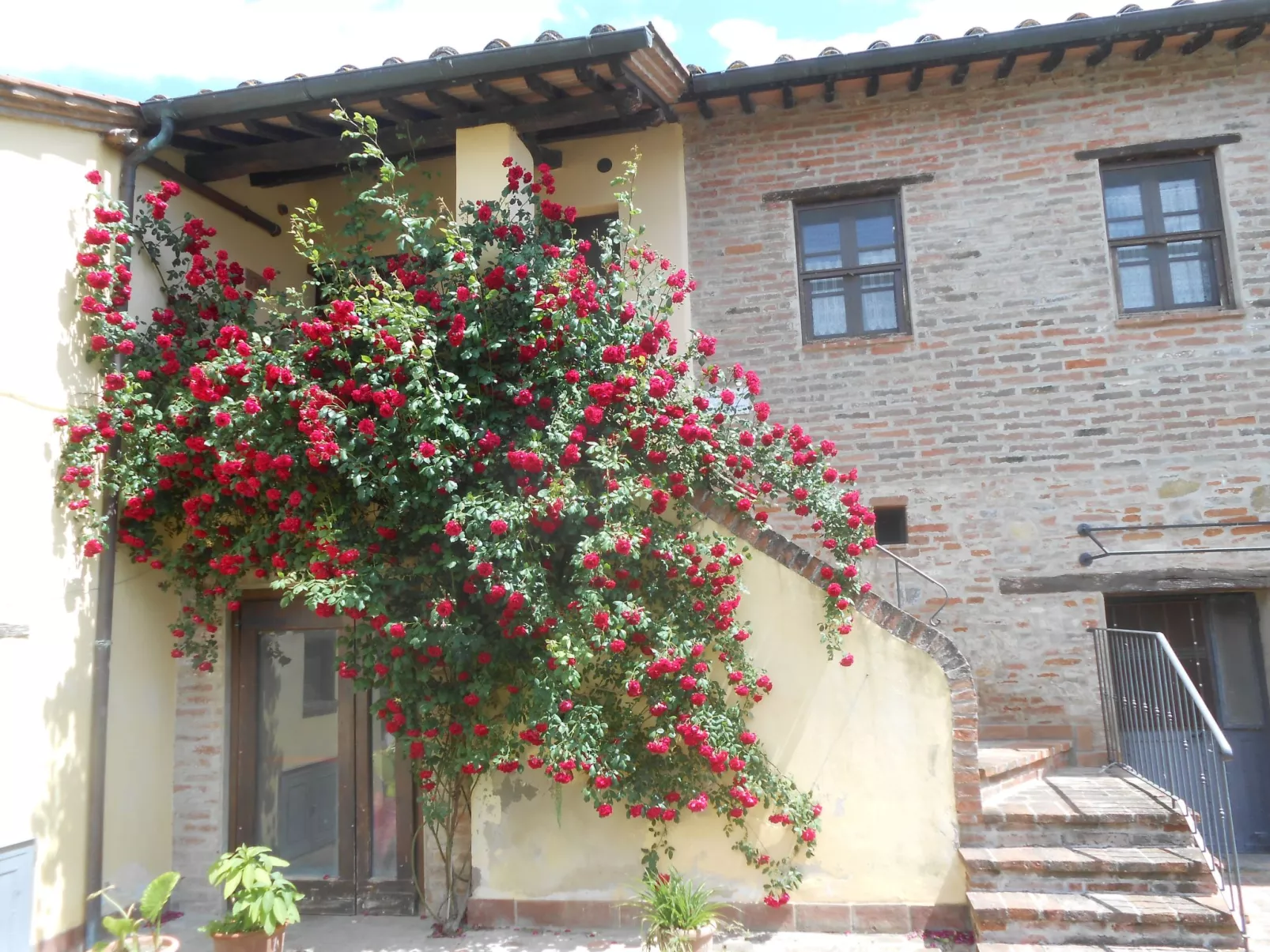 Ein Urlaub im Grünen-Image-tags.info