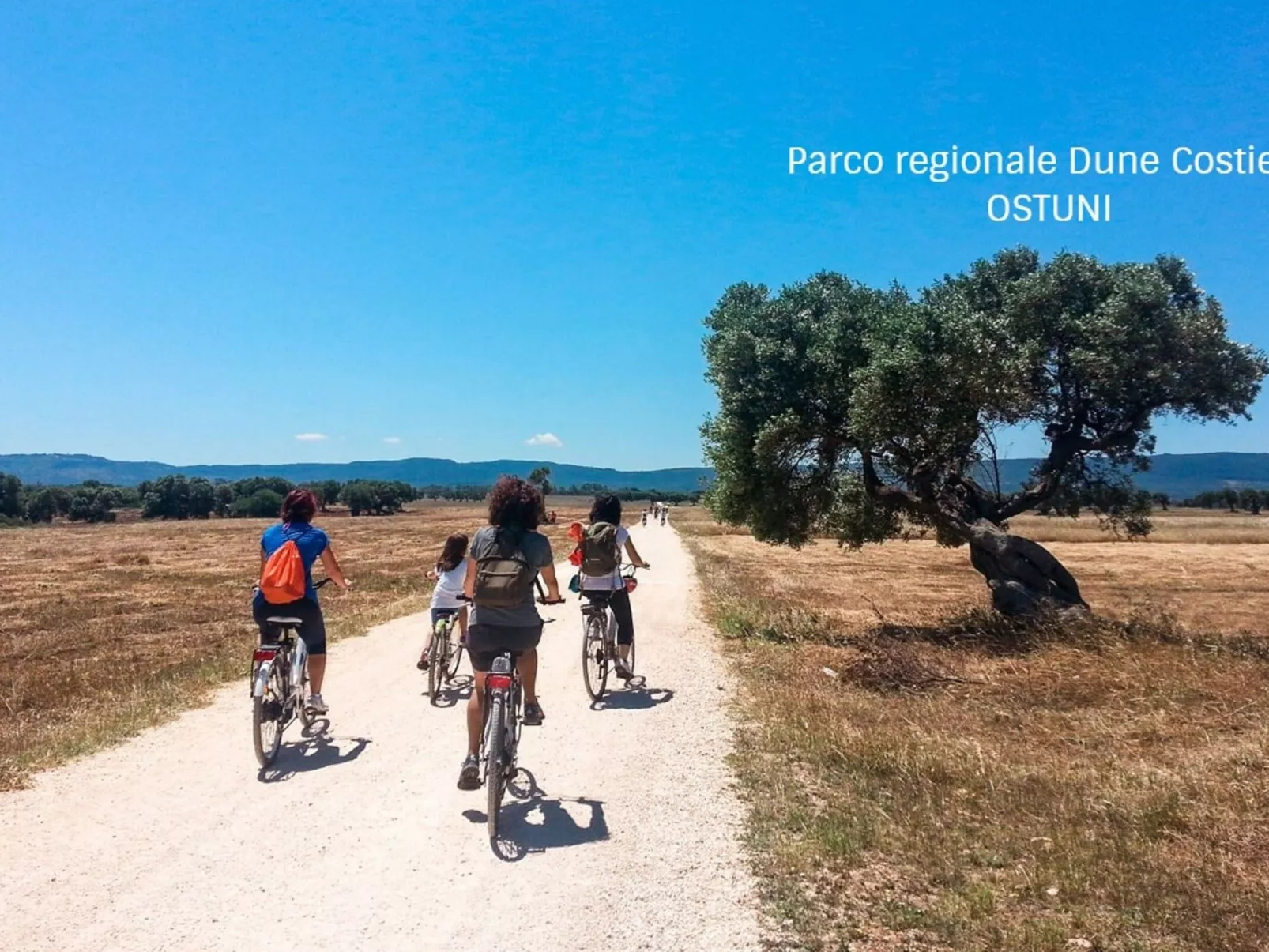 Flacher Rasen links-Buiten