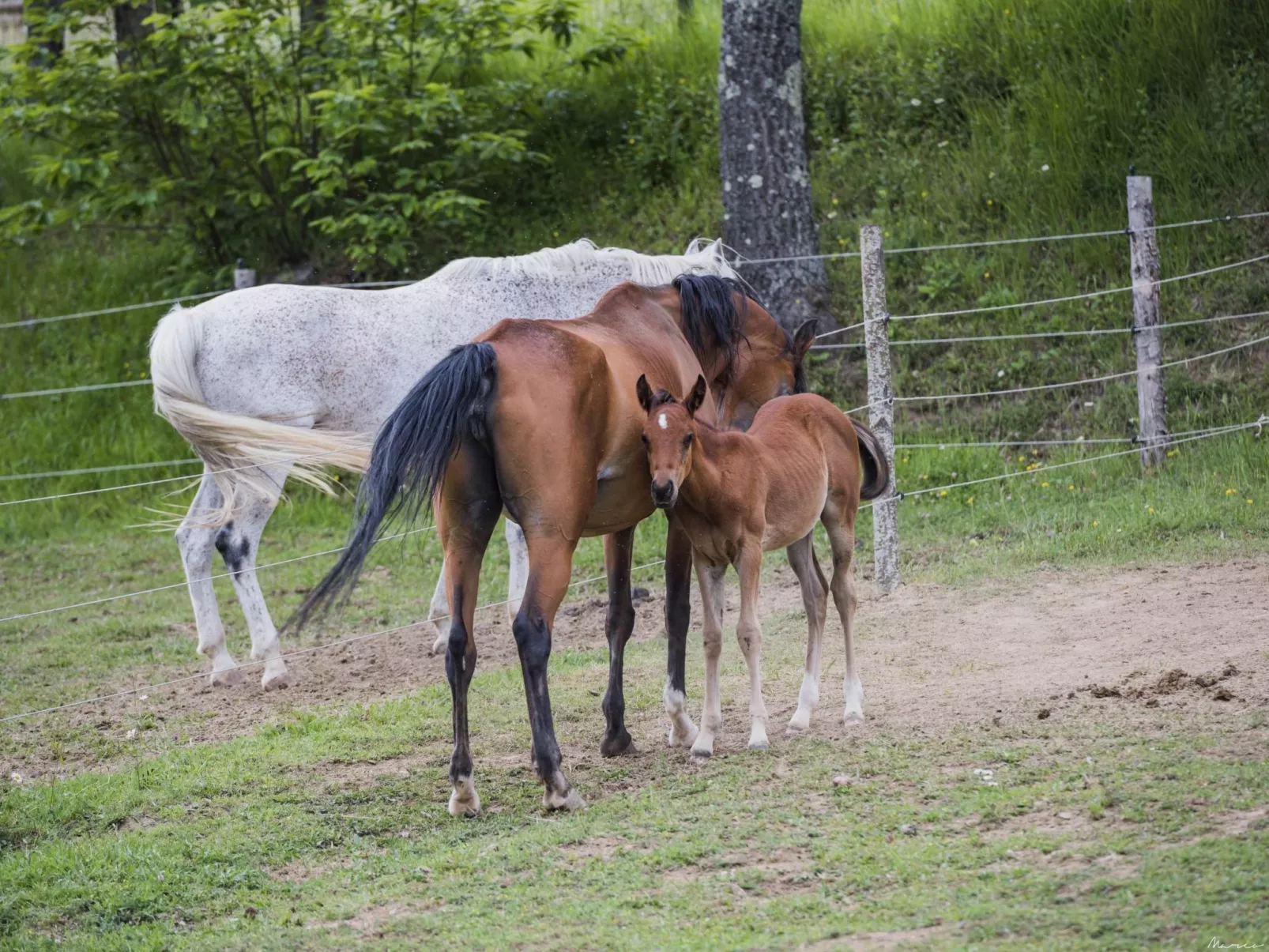 In ruhiger Lage-Image-tags.info