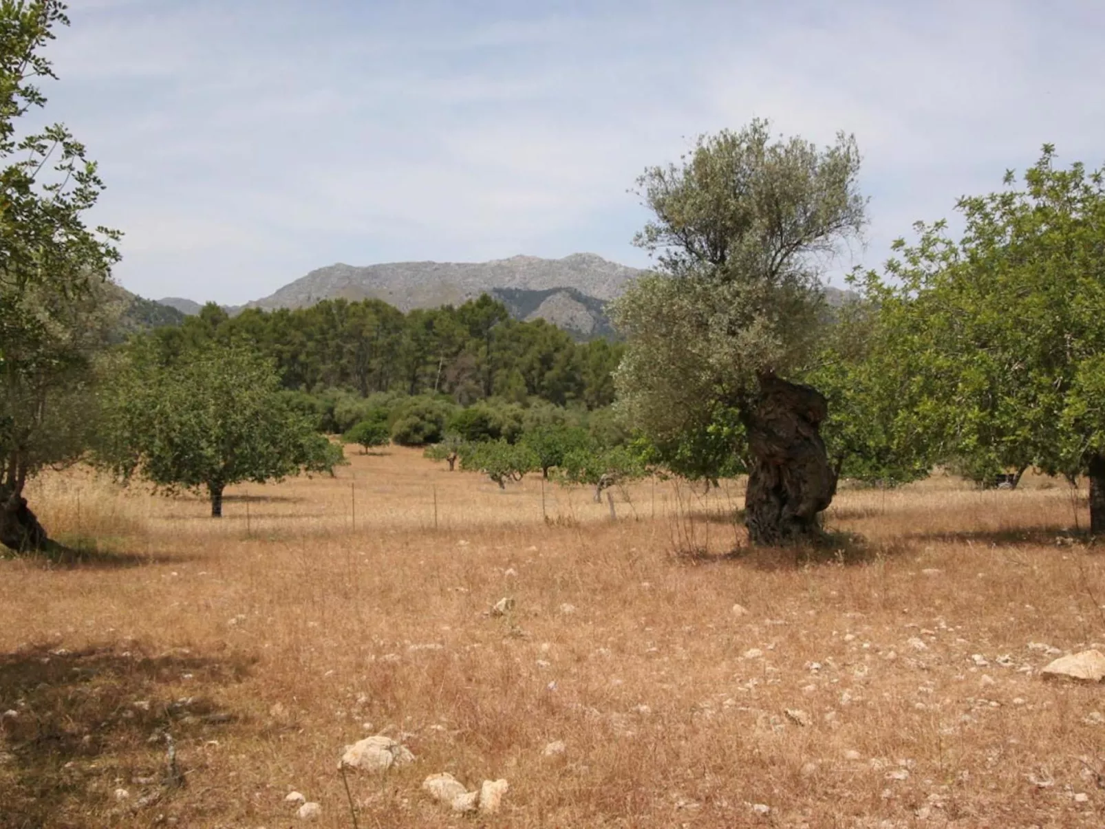 Guillo. 300 Jahre Geschichte an einem zeitlosen Ort-Image-tags.info