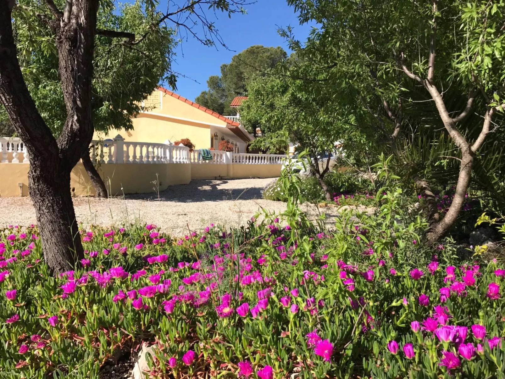 Finca Bilou, wo sich der Urlaub wie ein Heimkommen anfühlt-Image-tags.info