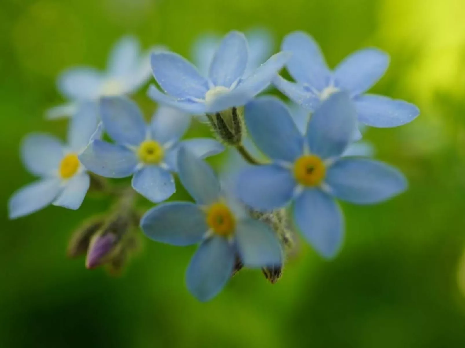 Bühlengasse 6-Image-tags.info