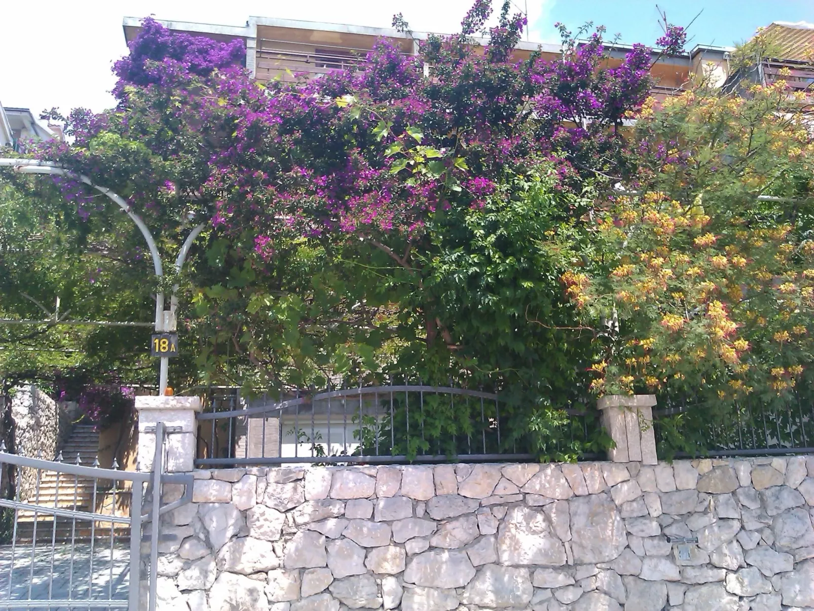 "Levant Ventus Makarska"-Buiten