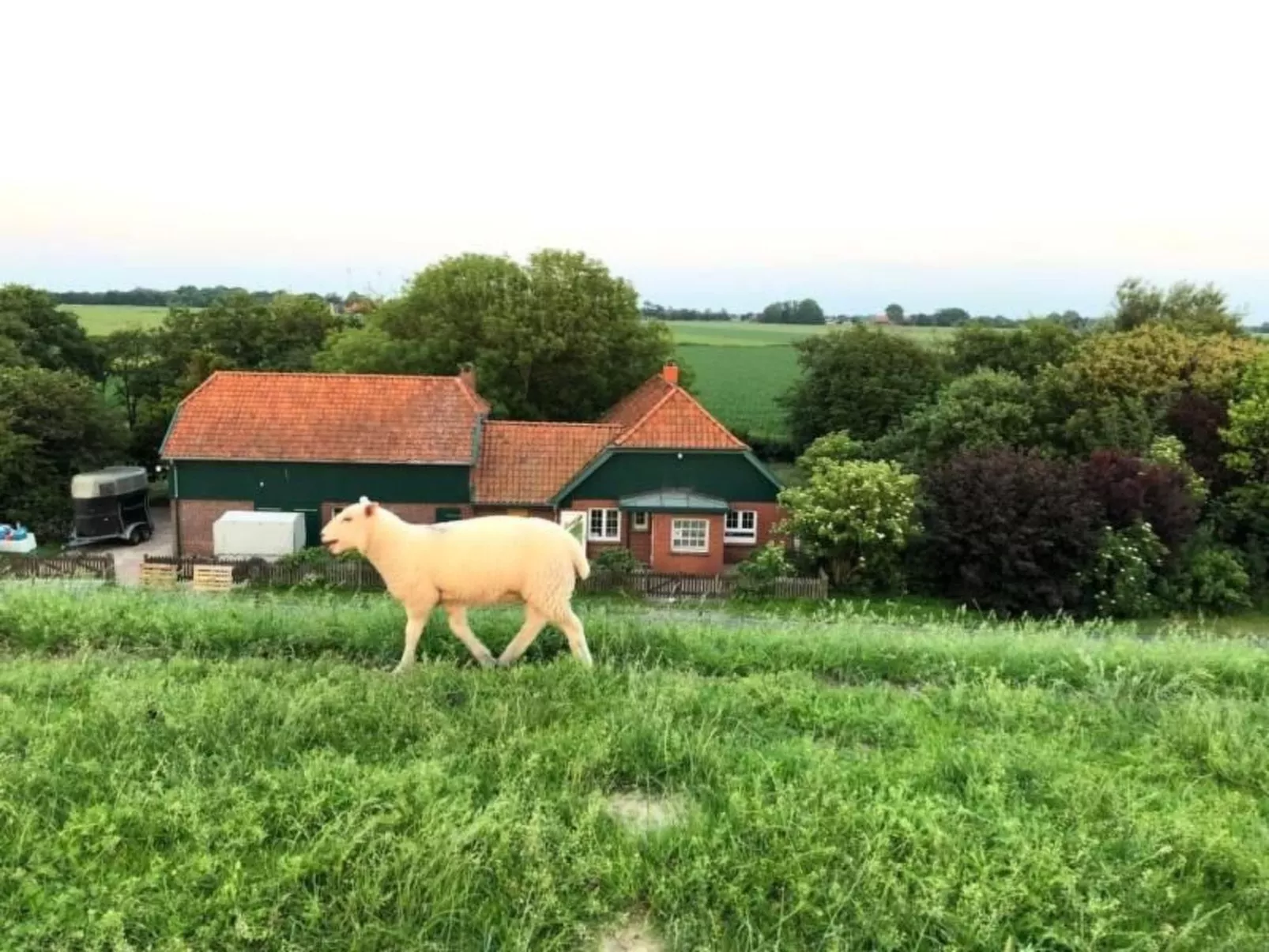 Deichhof Tossens - Buiten