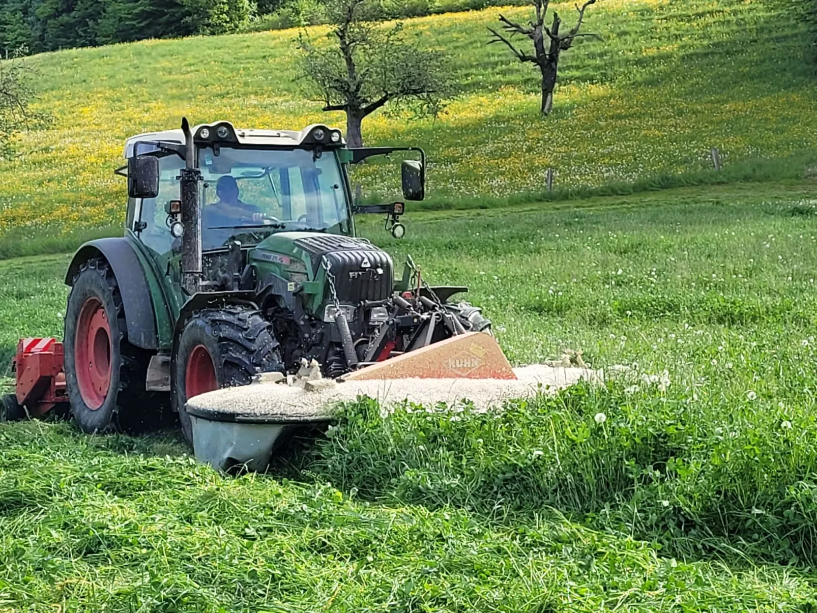 Chalet Staufenhof-Buiten
