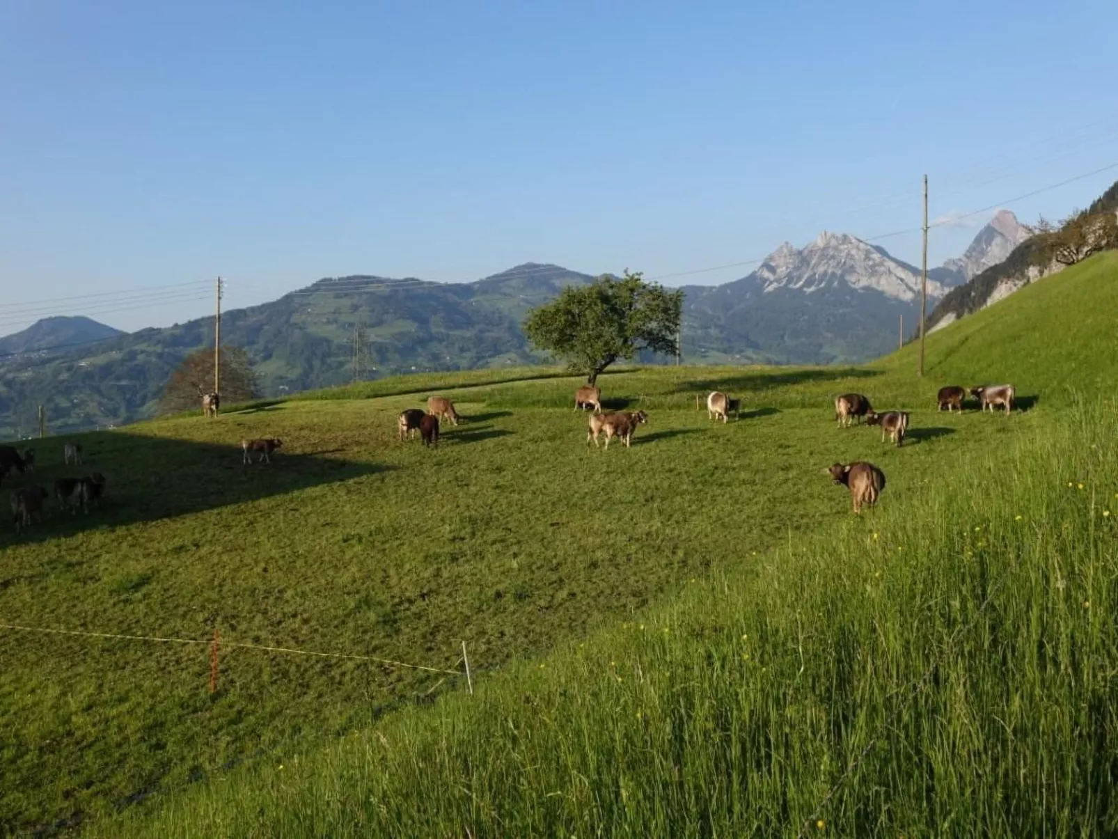 Biohof Langberg-Buiten