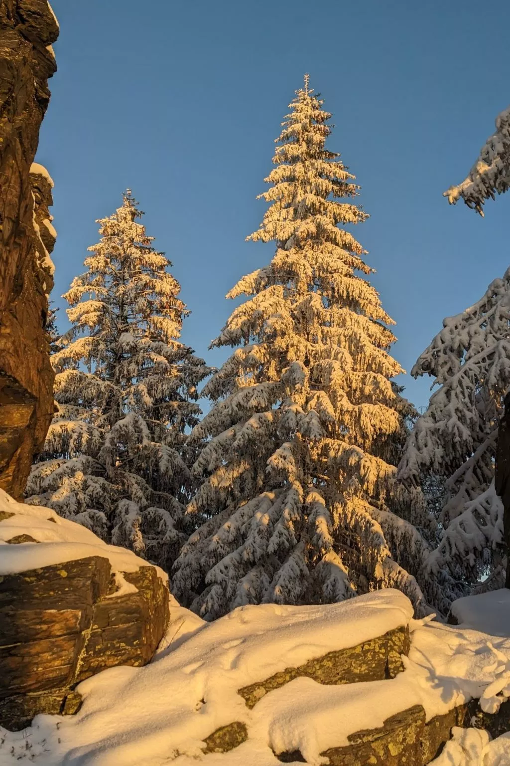 In Erlbach mit Grill und Terrasse-Buiten