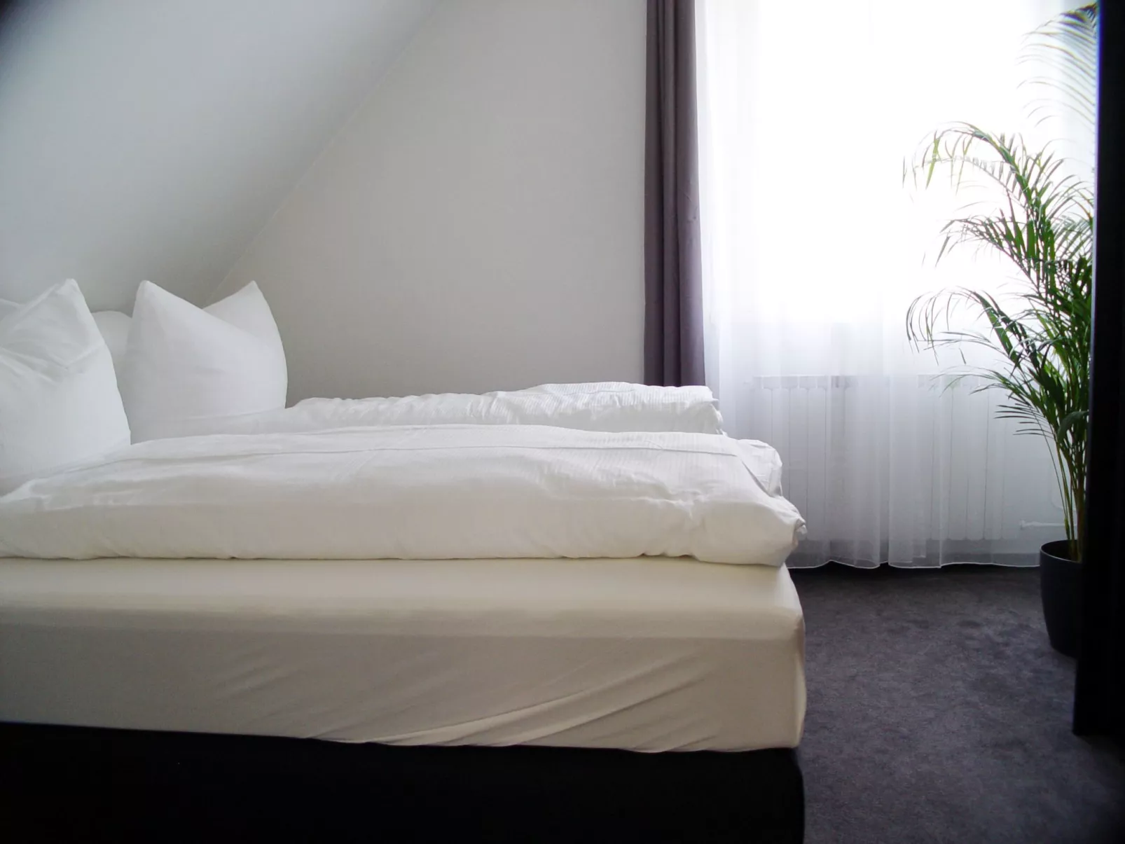 La Domus Premium-Binnen