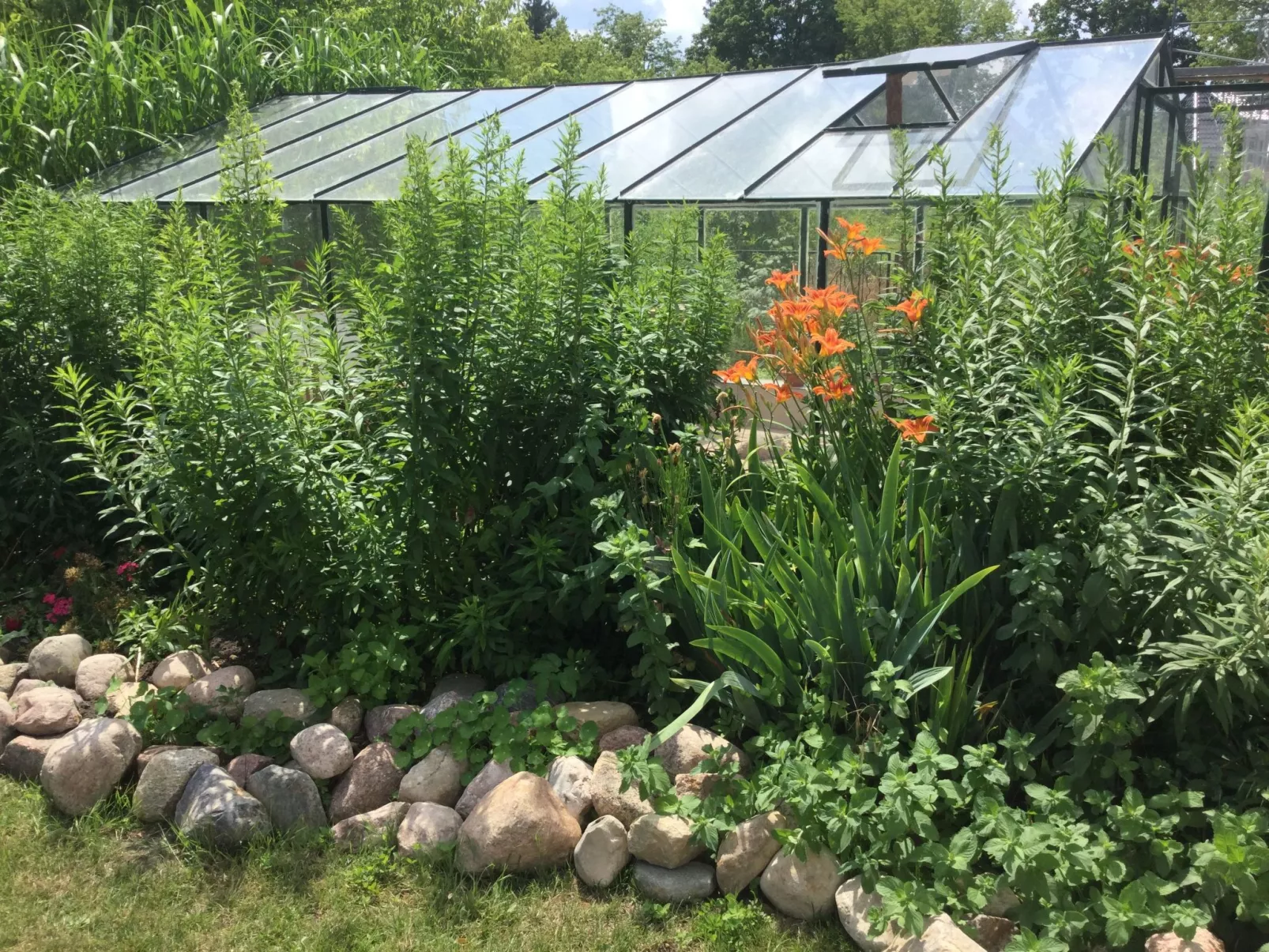 Kleines Ferienhaus in Rangsdorf mit großem Garten-Buiten