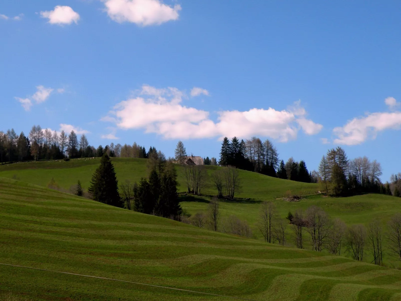 Modernes Ferienhaus in Granitzen mit Grill-Buiten