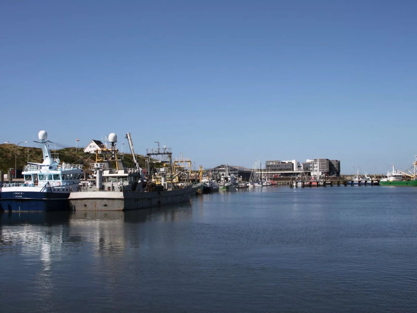 Strandfloh in Hörnum-Buiten