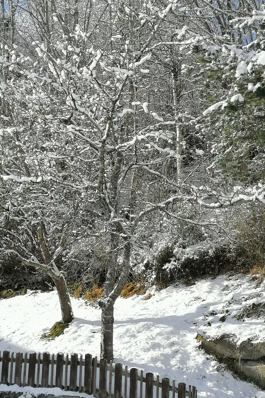Riedbach in Mutters-Buiten