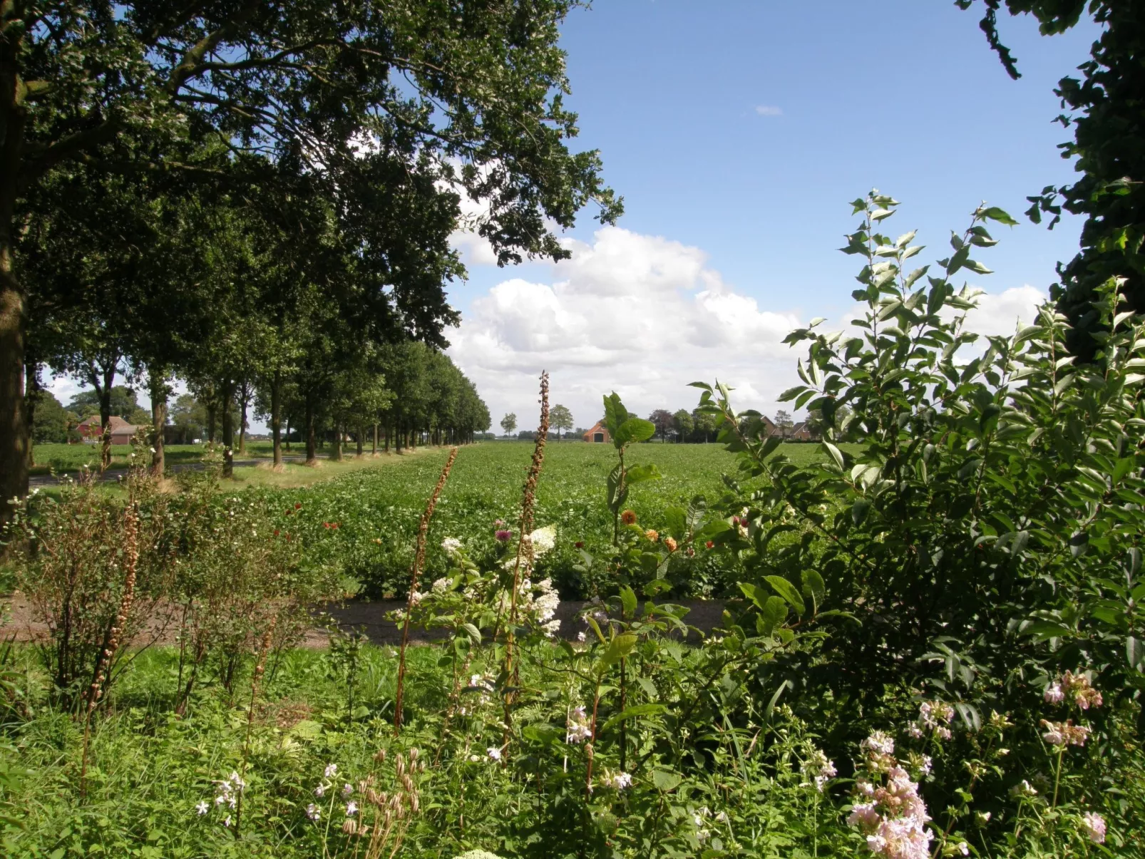 Urlaub wie früher auf einem Bauernhof mit dem Komfort von heute.-Image-tags.info