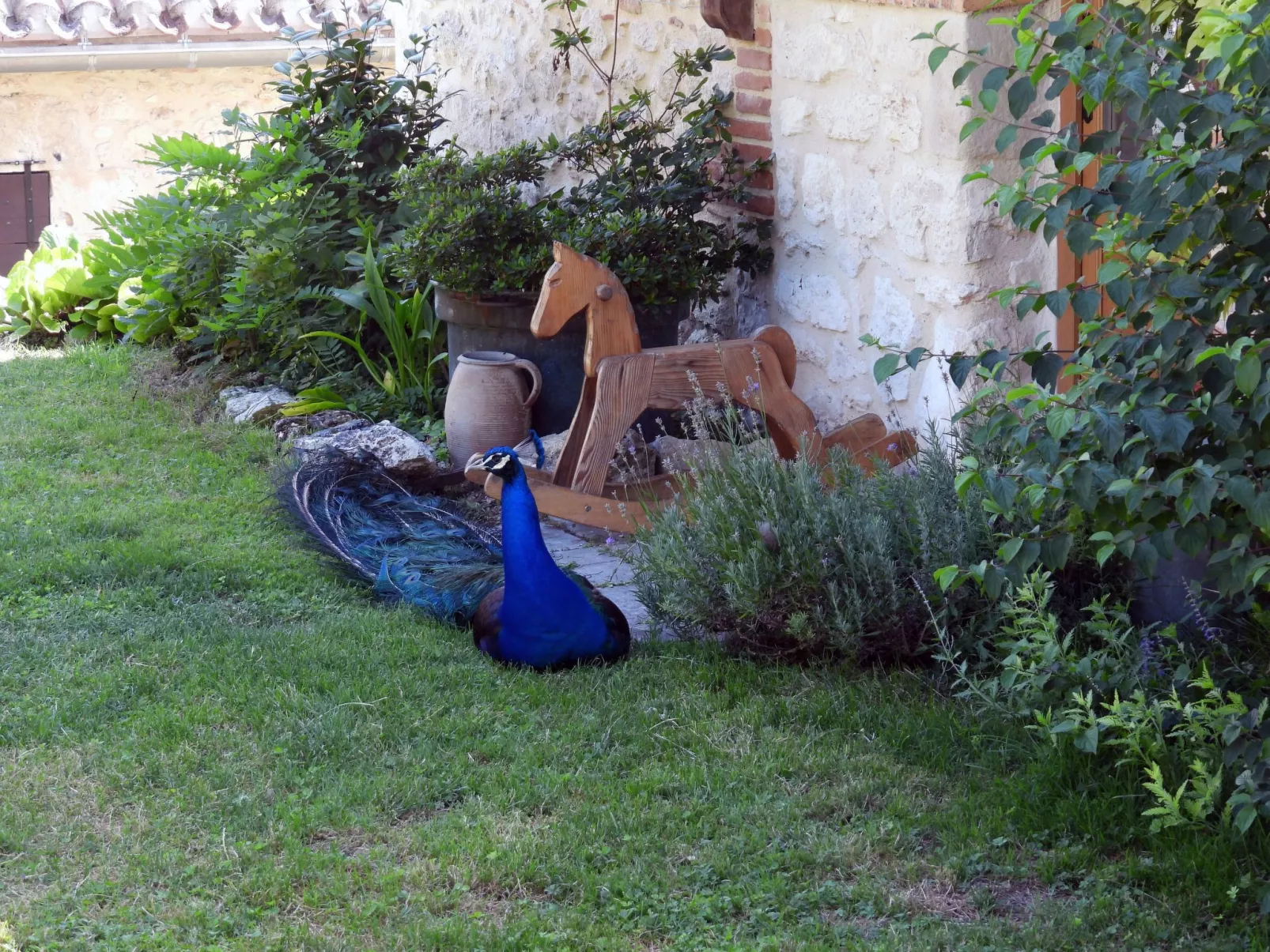 La Ferme des Paons-Buiten