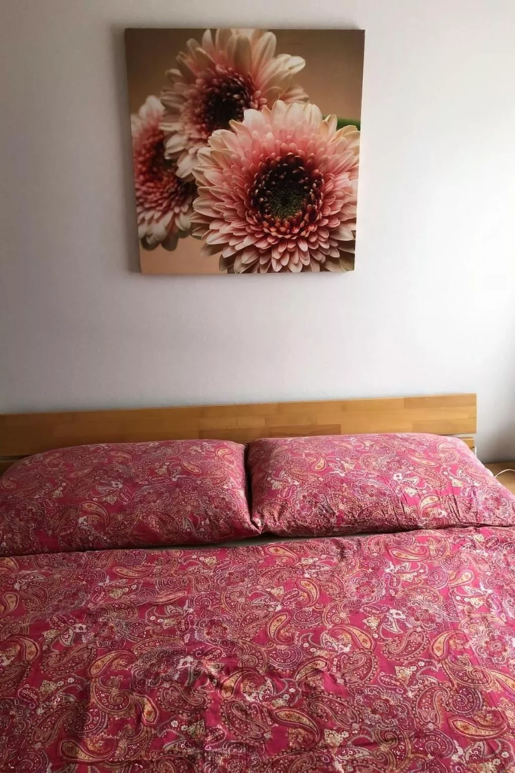 3-Zimmer Ferienwohnung Rapperswil am Zürichsee-Binnen