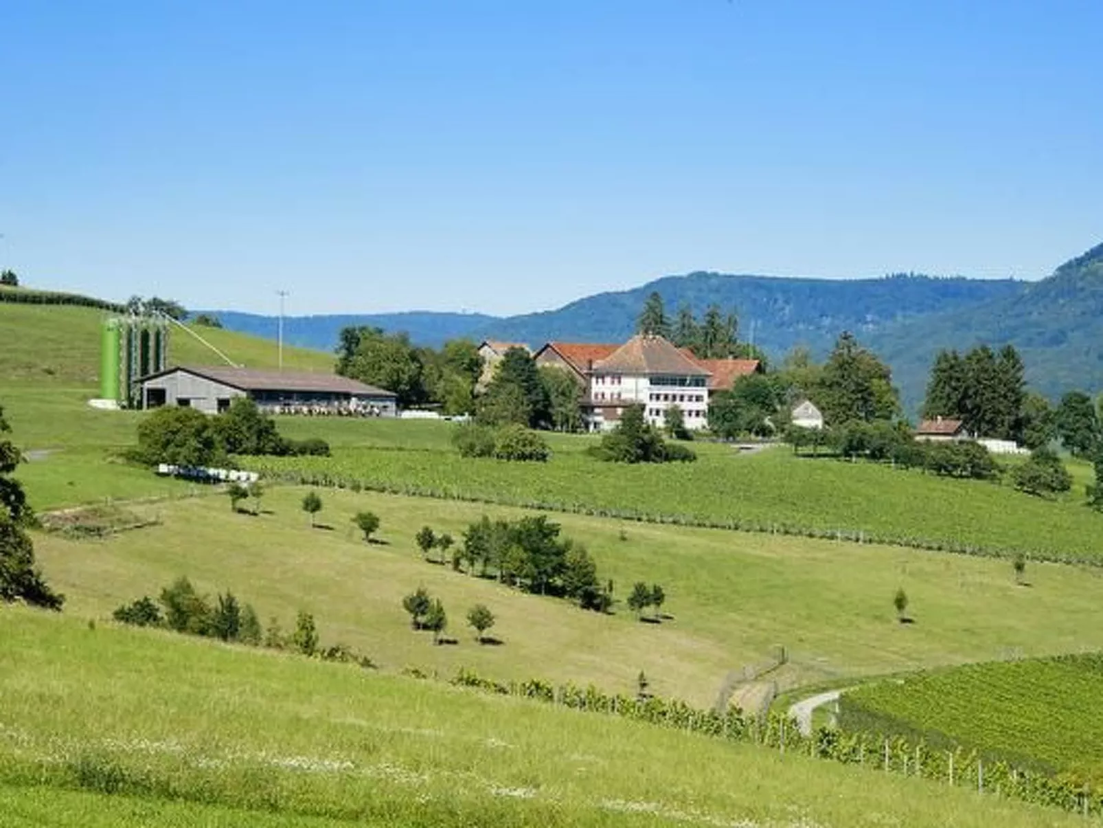 Berghof Hallau grosse Ferienwohnung-Image-tags.info