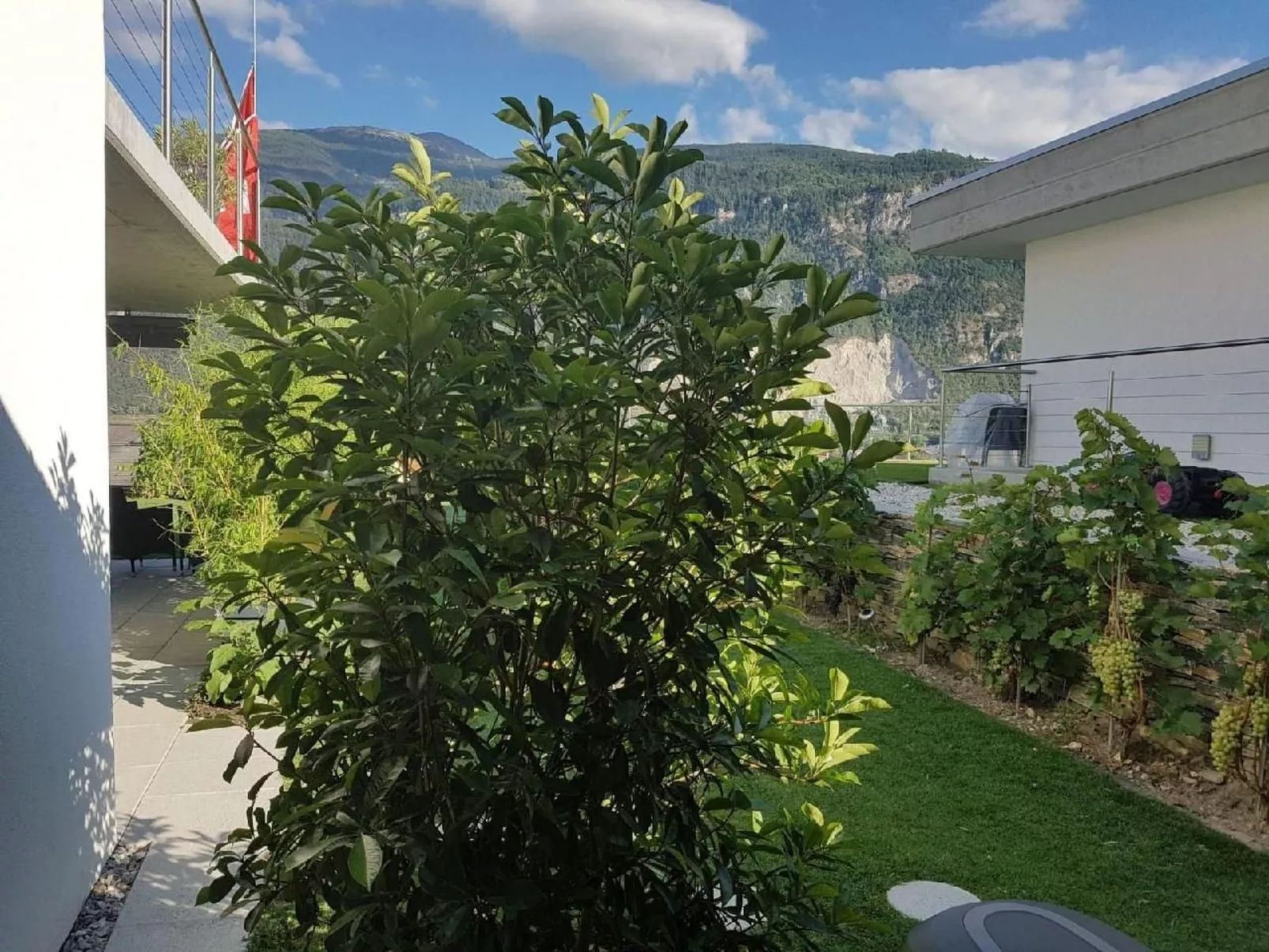 Guesthouse Petit Pré Appartement INSPIRATION-Buiten