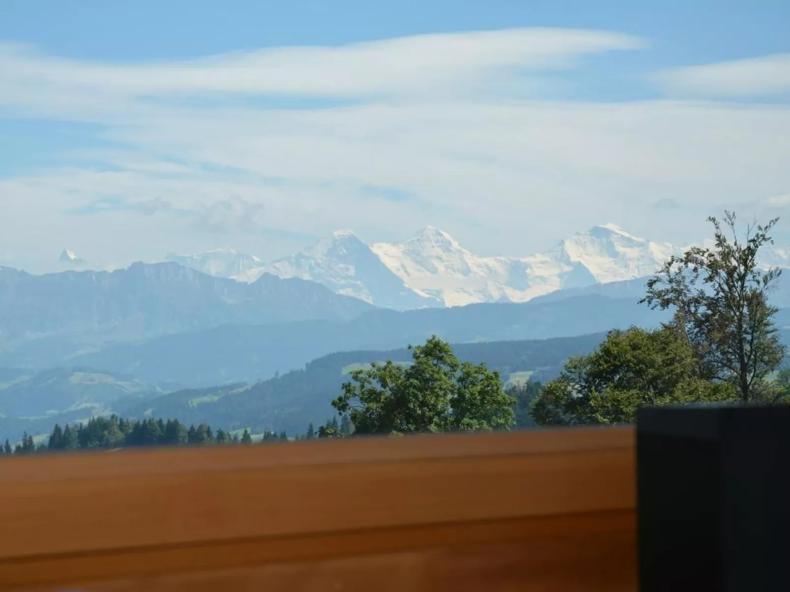 Moosegg-Image-tags.info