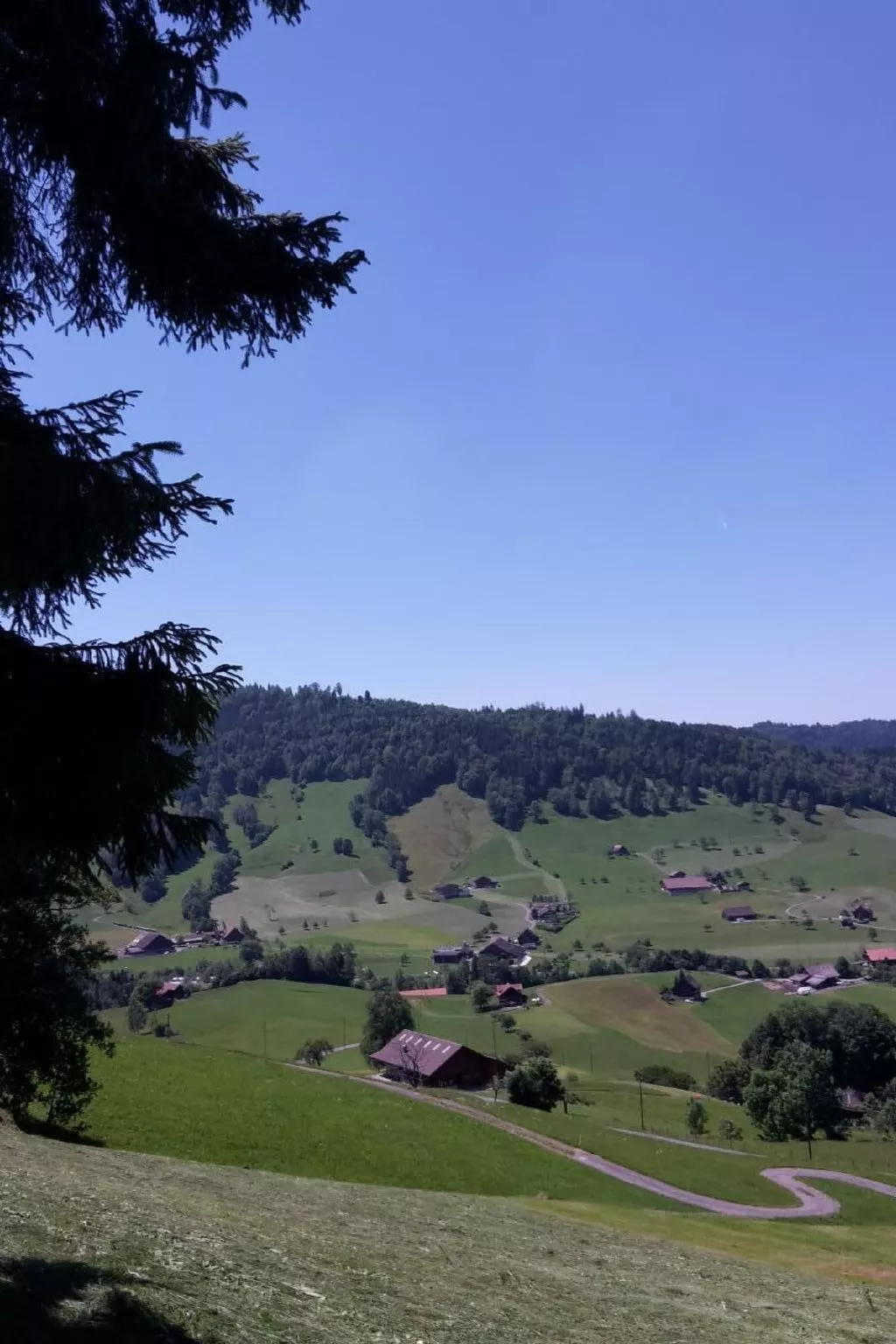 Fruehalp-Image-tags.info