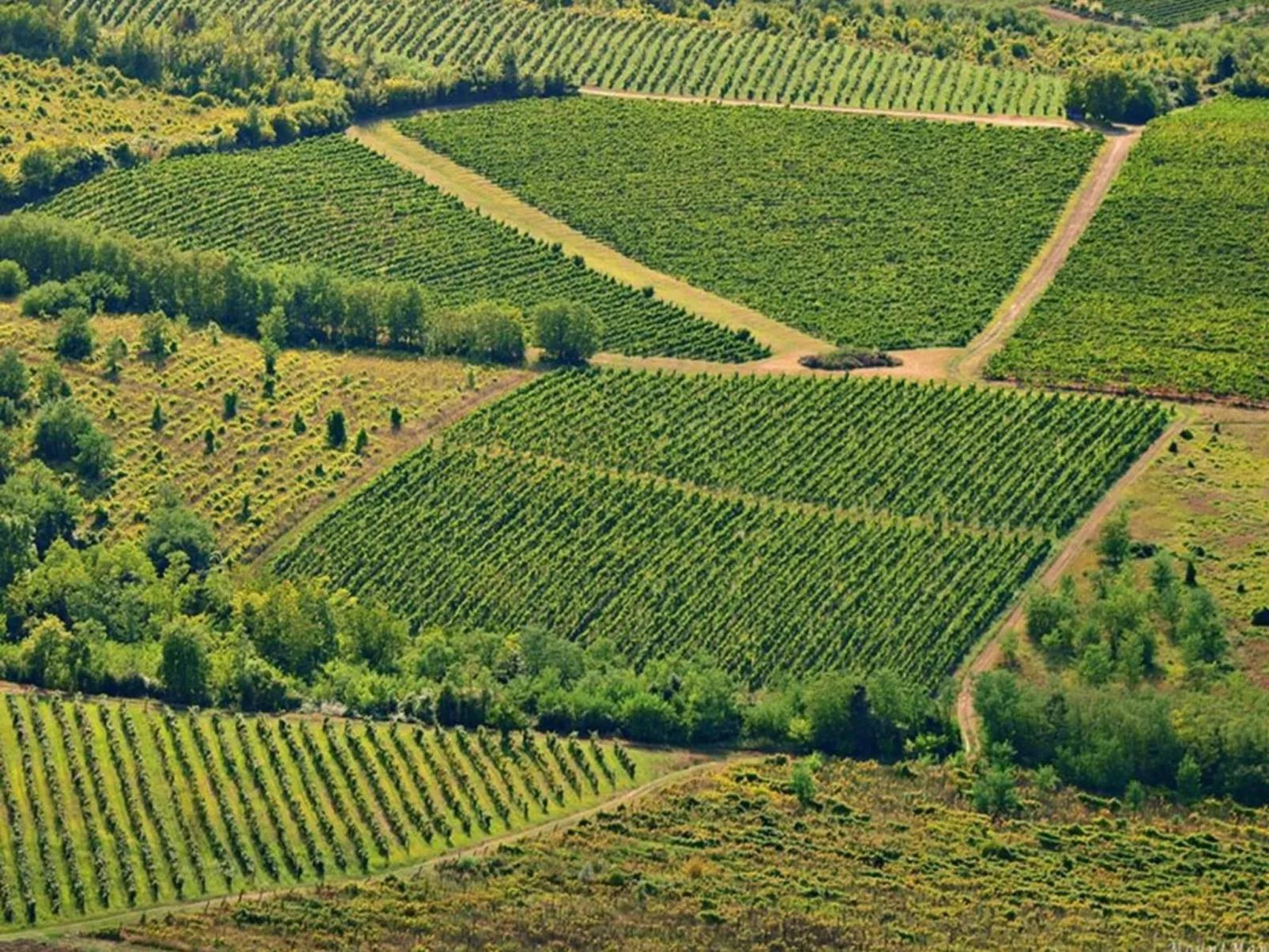 Villa LETICIJA - Luxusvilla mit beheiztem Pool, Sauna, Fitness & Grillplatz in-Buiten