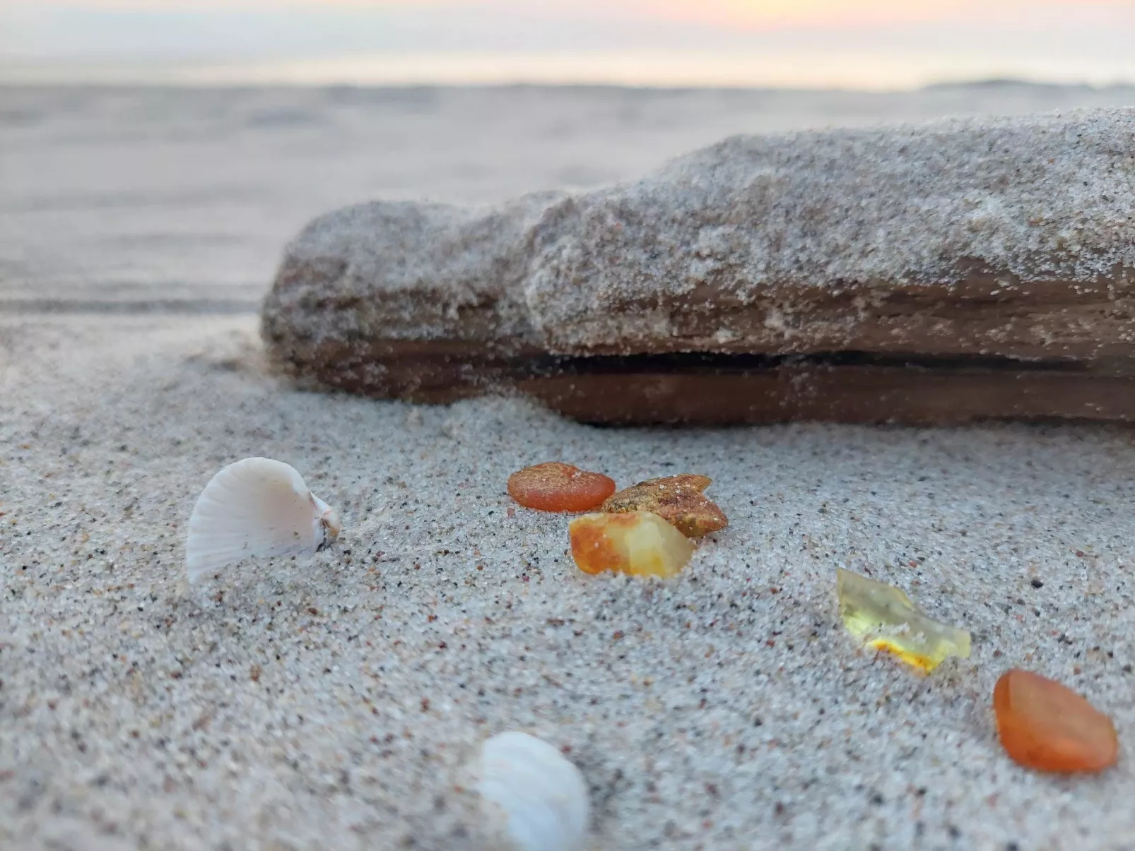 Sunny Baltic-Image-tags.info