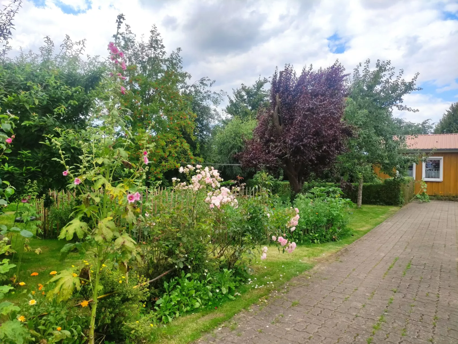 Janet Ratschkowski-Buiten