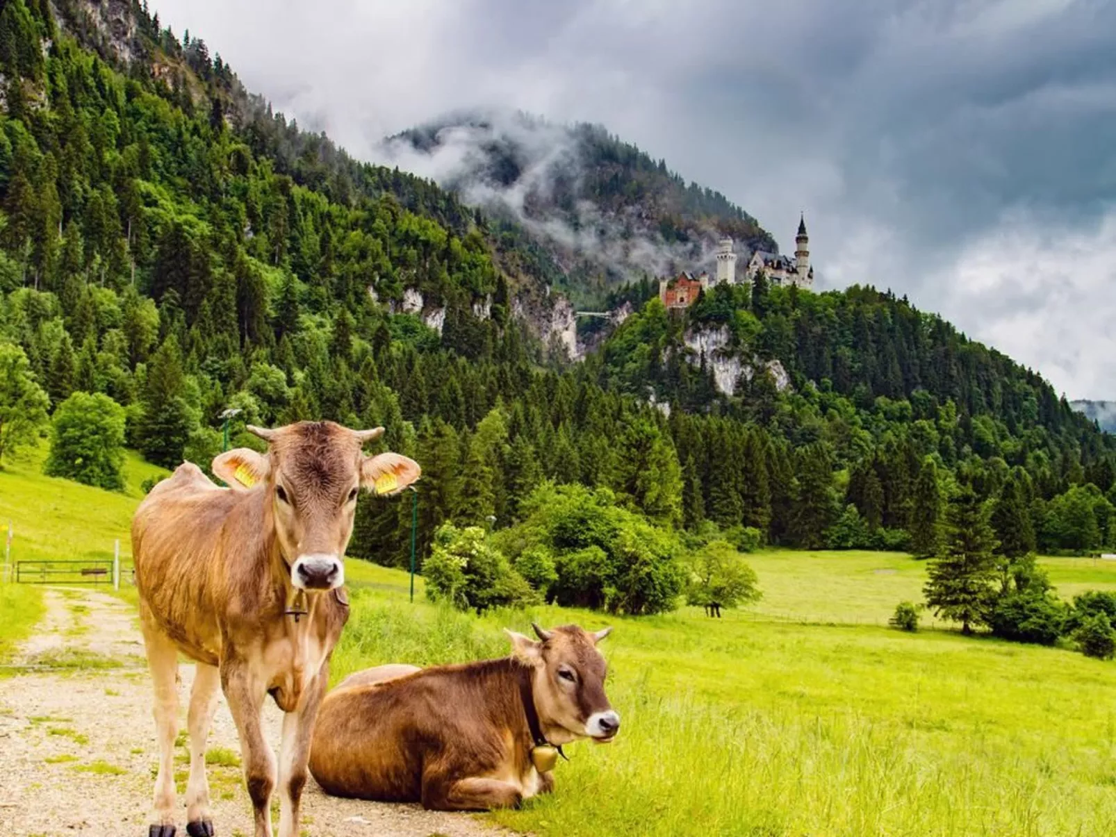 Sehnsucht Allgäu-Buiten