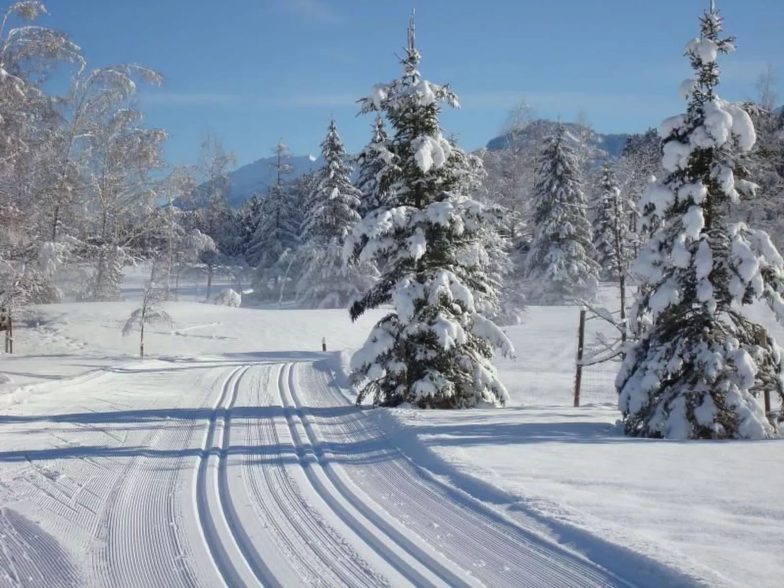 Appartement in Sigiswang mit Terrasse-Buiten