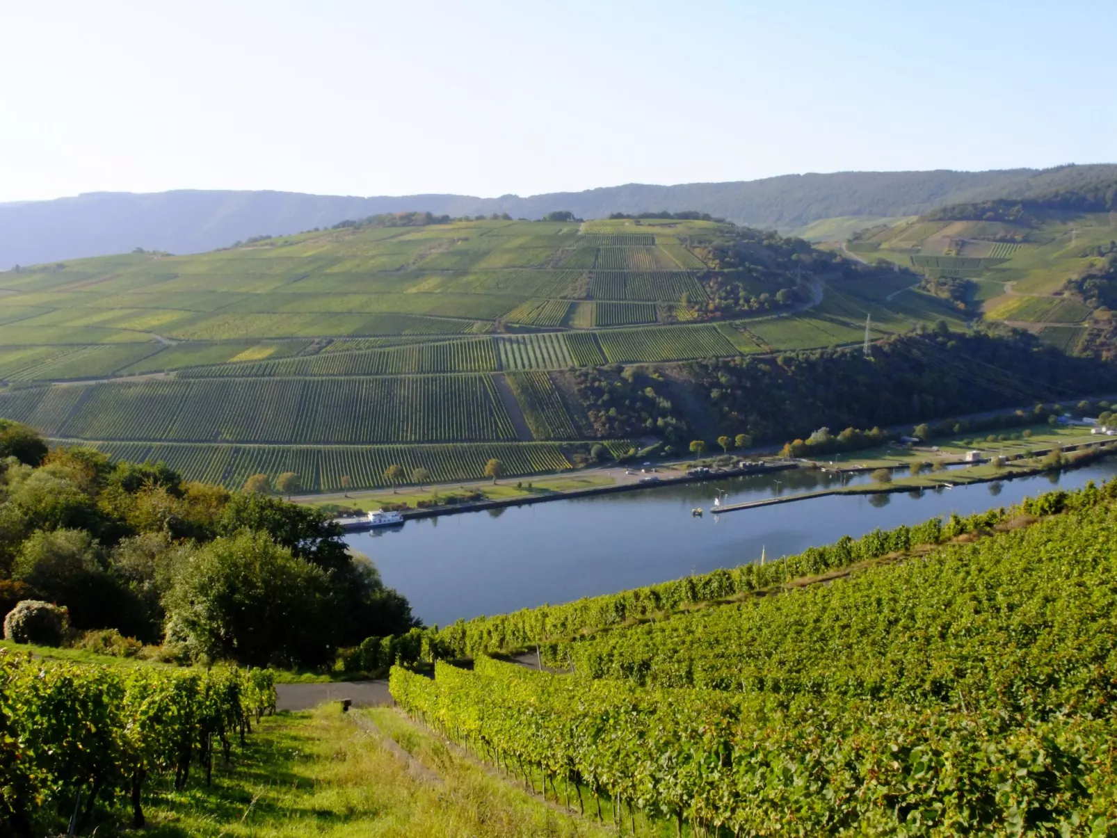 Alexandra-Image-tags.info