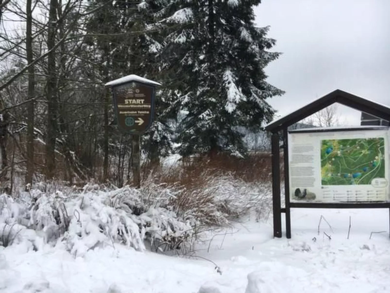 Feriendomizil Adler-Buiten
