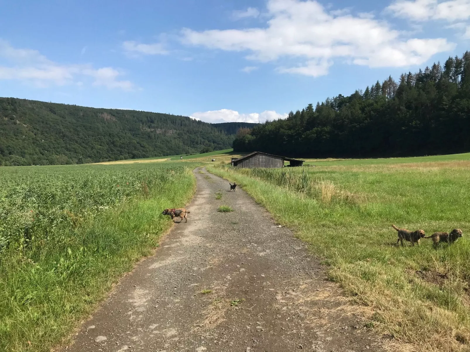 Frankenblick-Image-tags.info