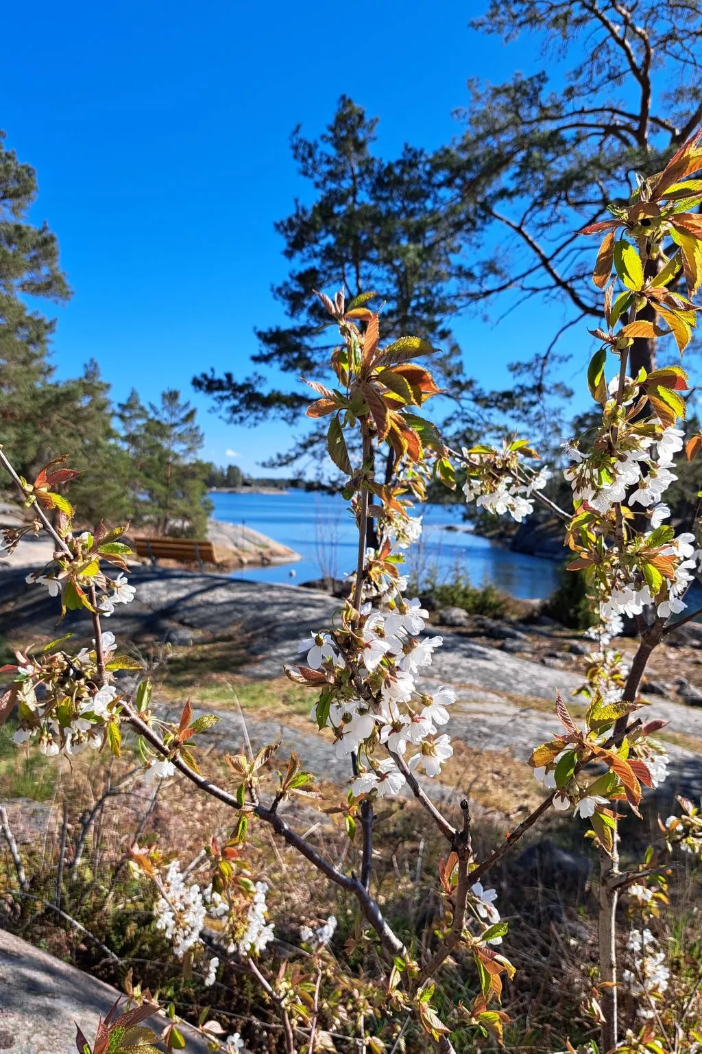 Im Herzen Smålands-Buiten