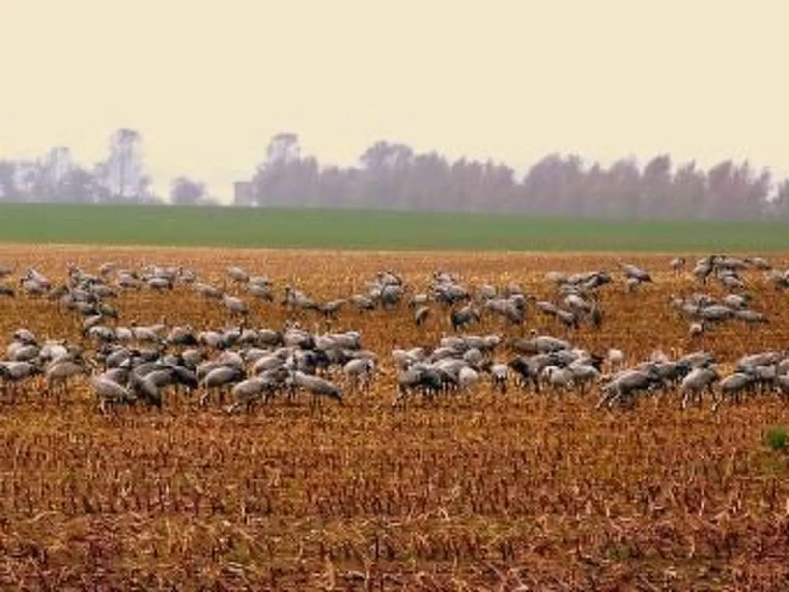 Willkommen im Ferienhaus "Luise"-Image-tags.info