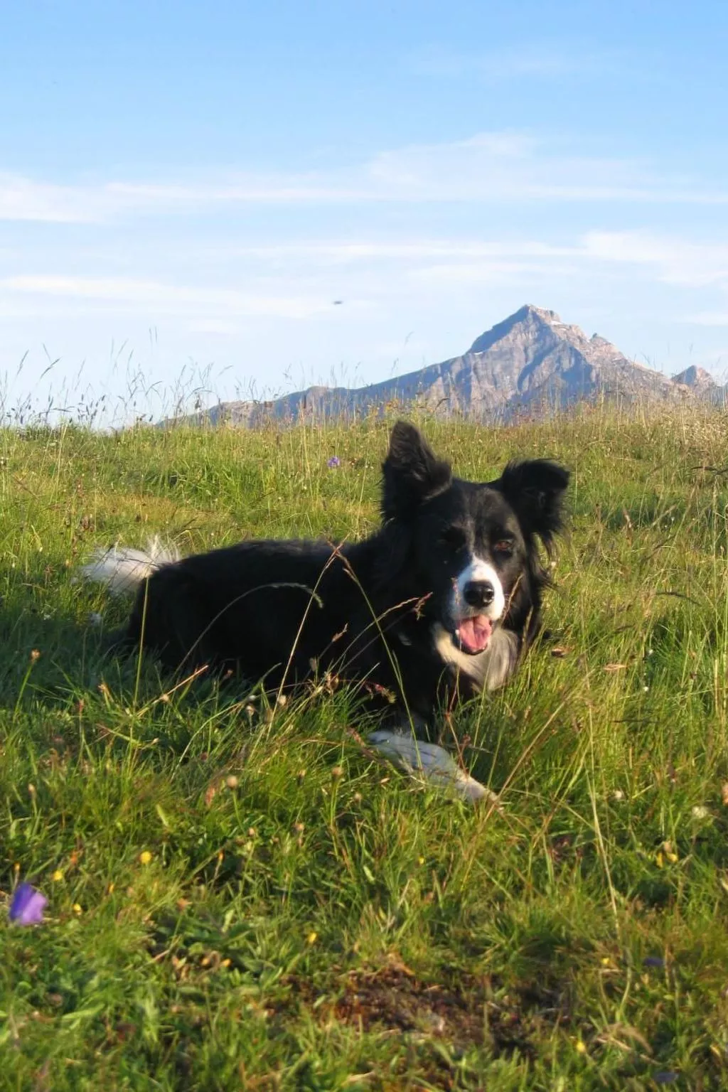 Staudenhof Viamala-Buiten