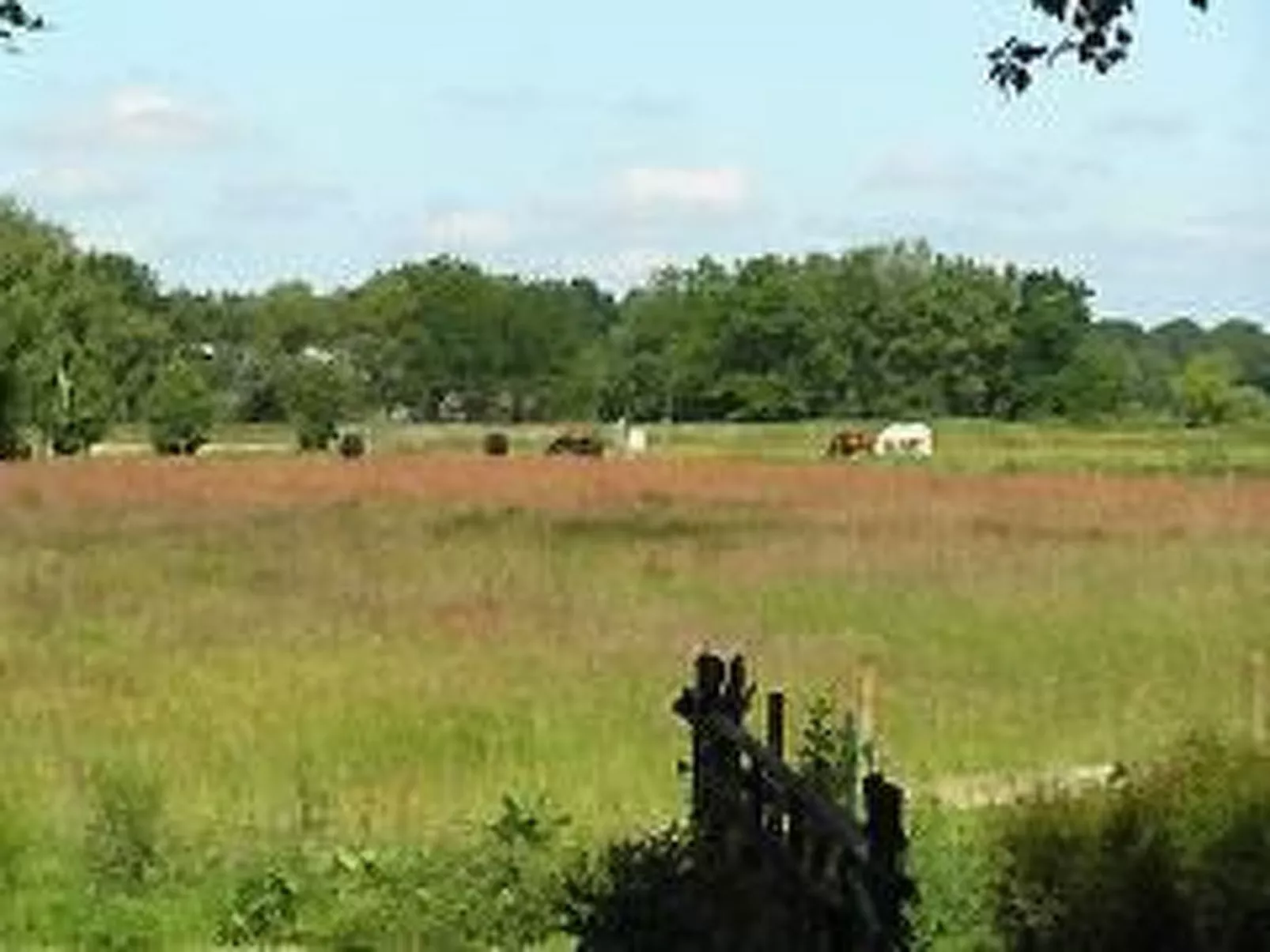 Scheunenwohnung-Buiten