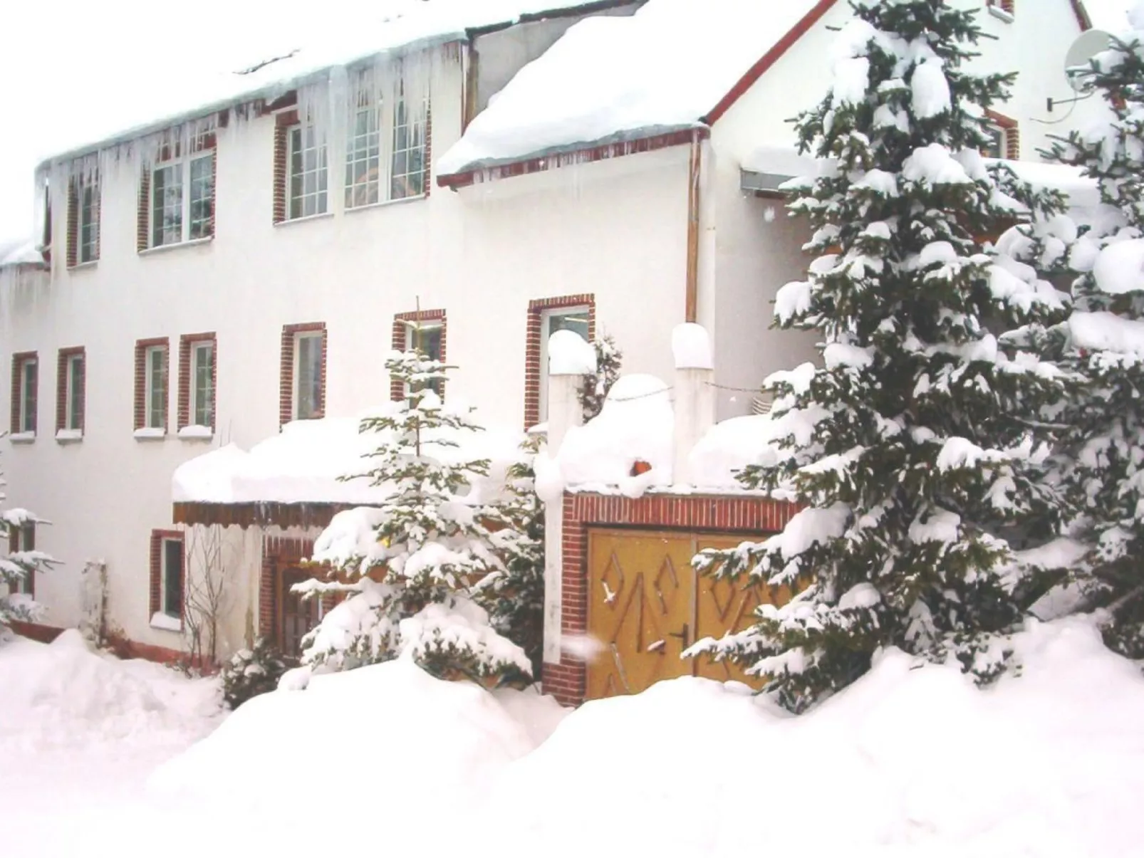 Pügner-Image-tags.info