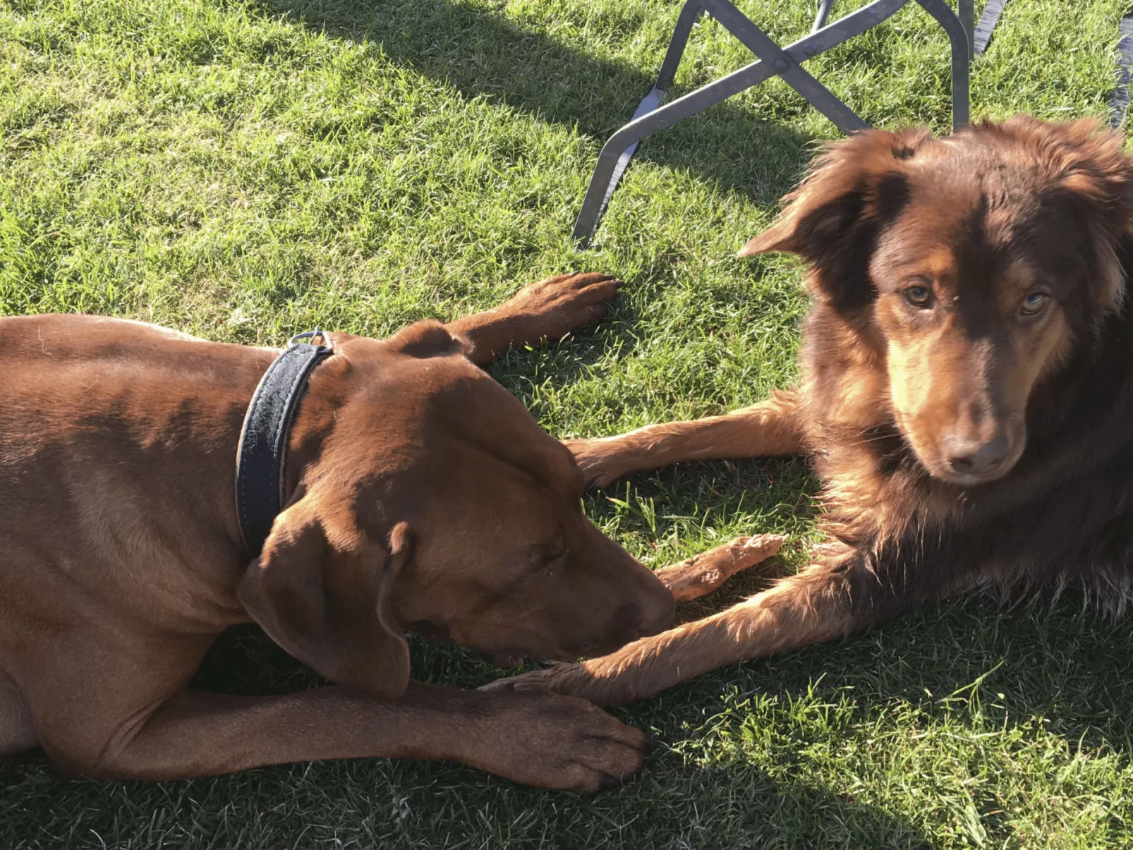 In Strandnähe-Buiten