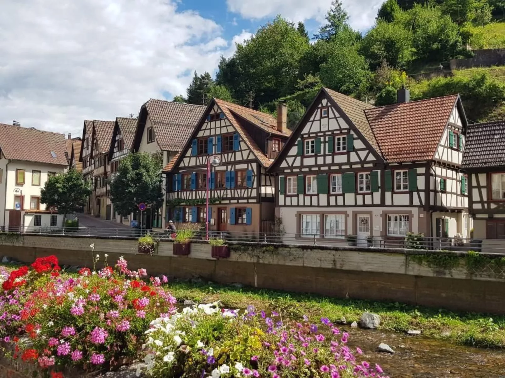 Bär-Image-tags.info