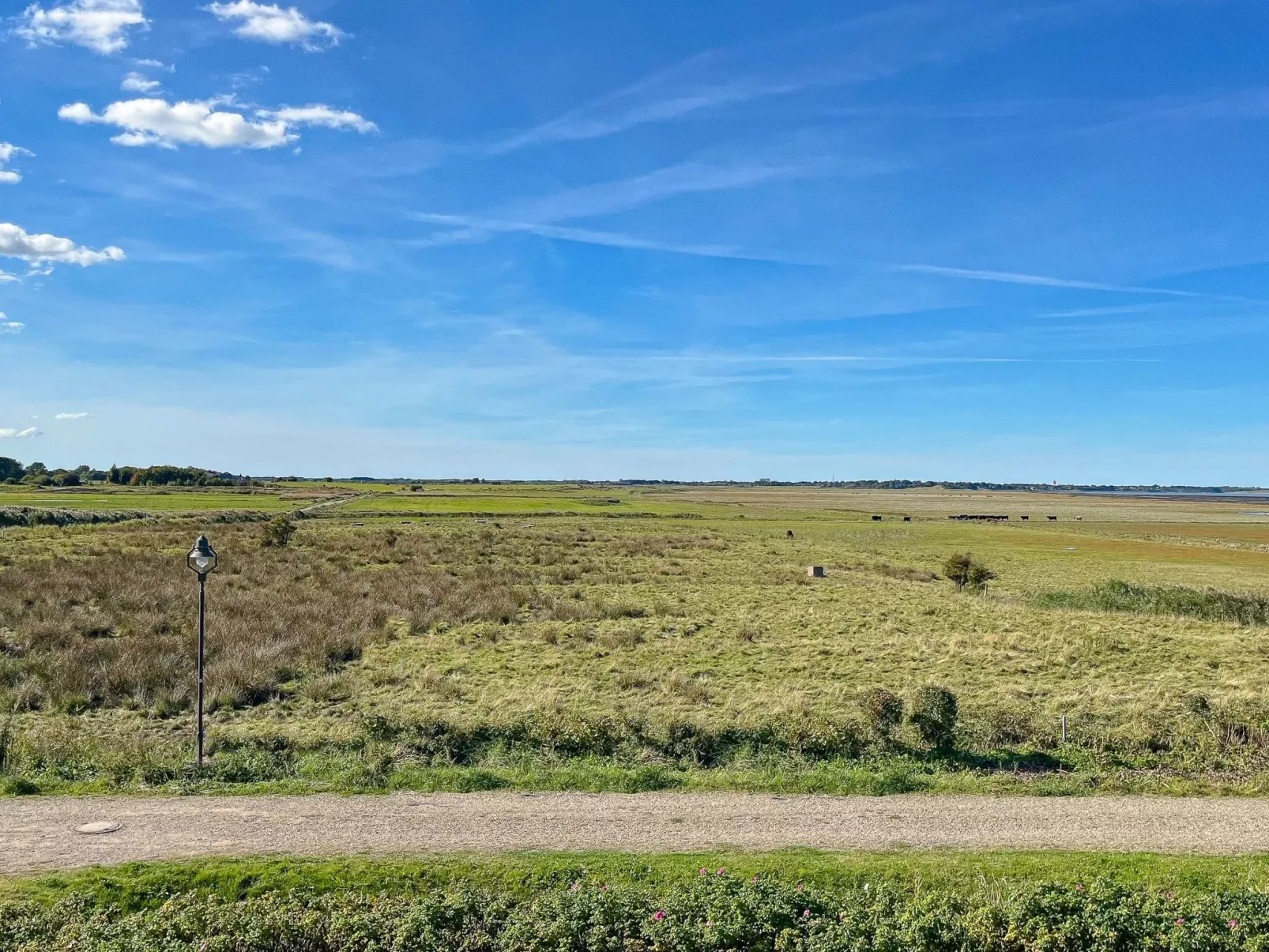 Liiger Wal in Morsum-Buiten