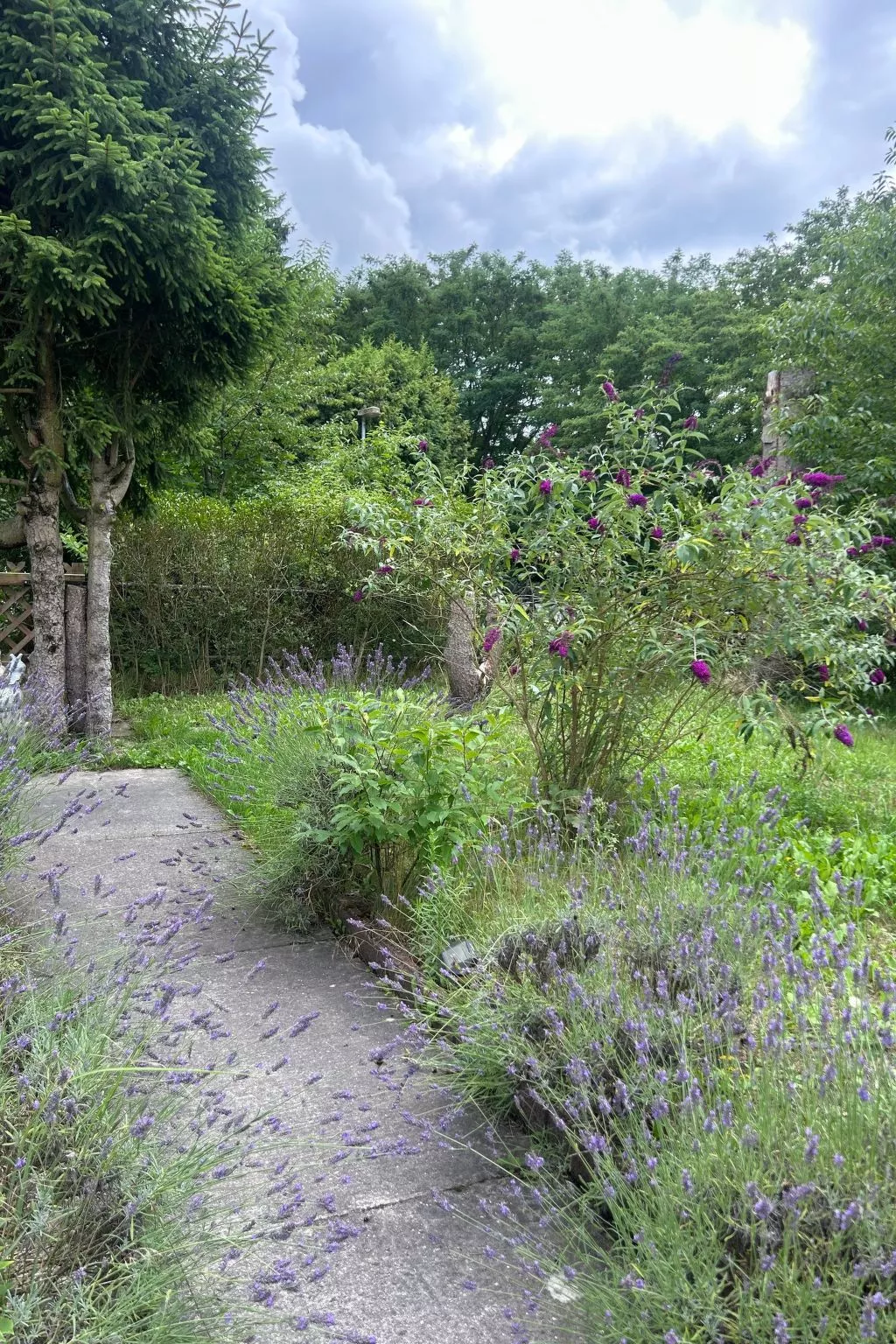 Datscha im Grünen-Buiten