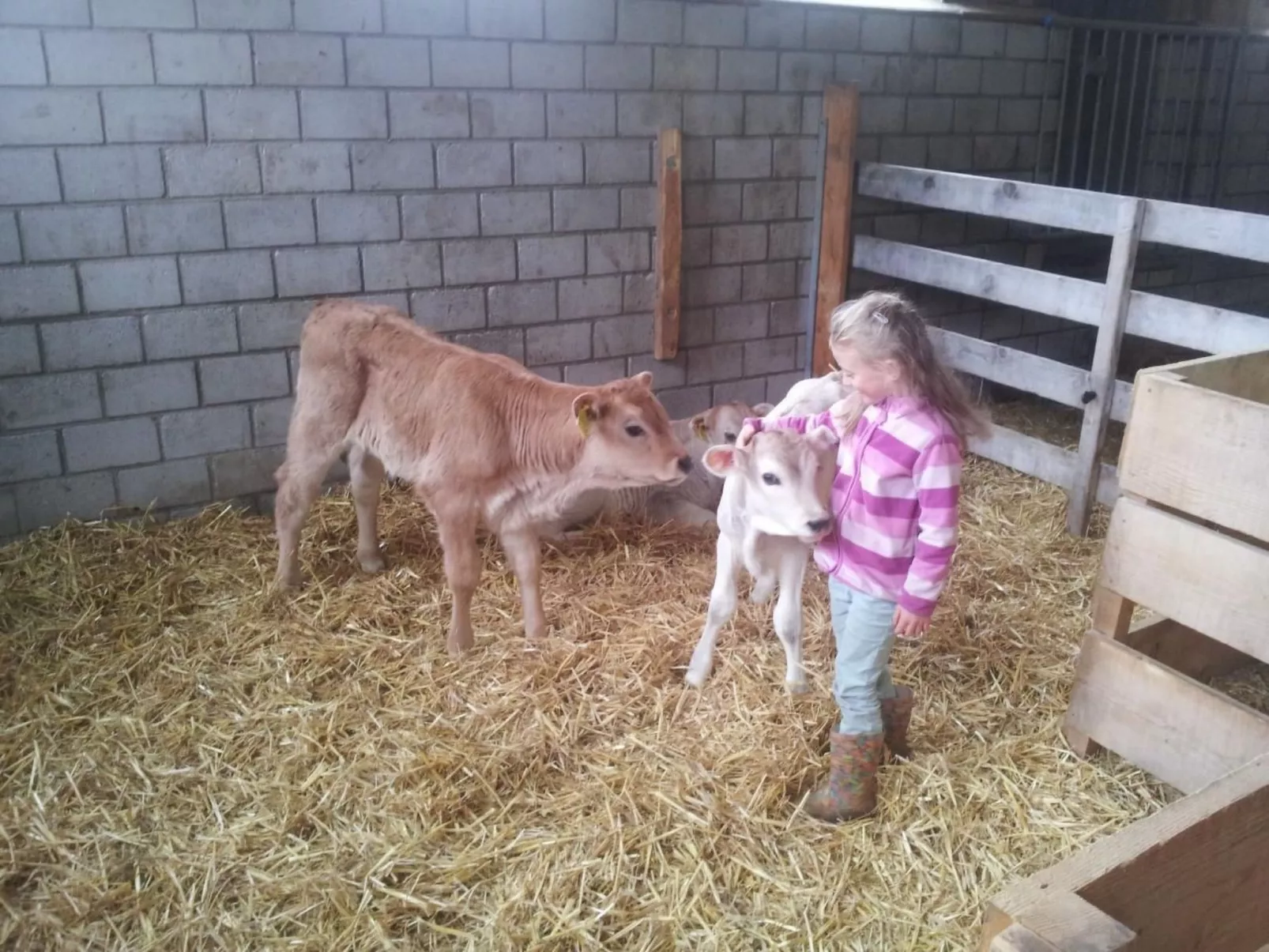 Bellezza - Bio Bergün-Image-tags.info